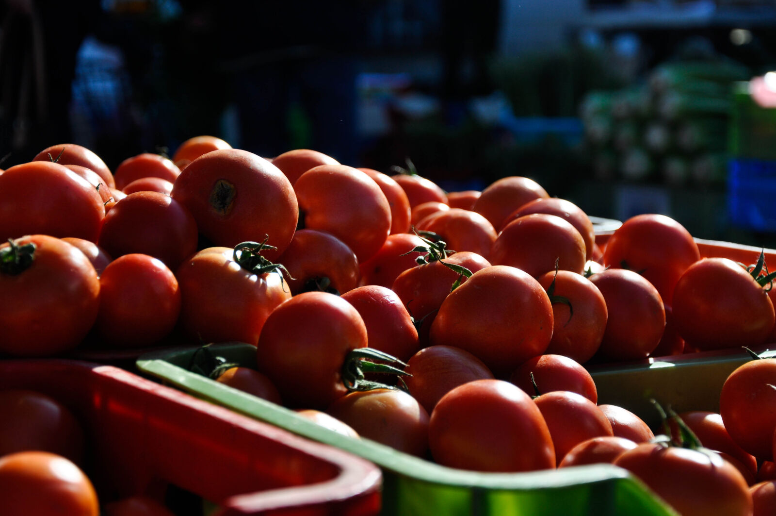 Nikon D90 sample photo. Farmers, market, morning, sun photography