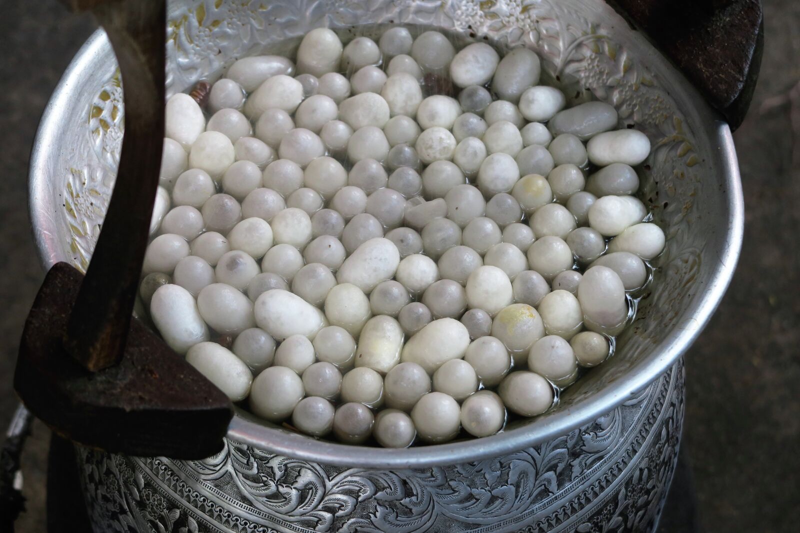 Canon PowerShot G7 X sample photo. Cocoons silk, cocoons, silk photography