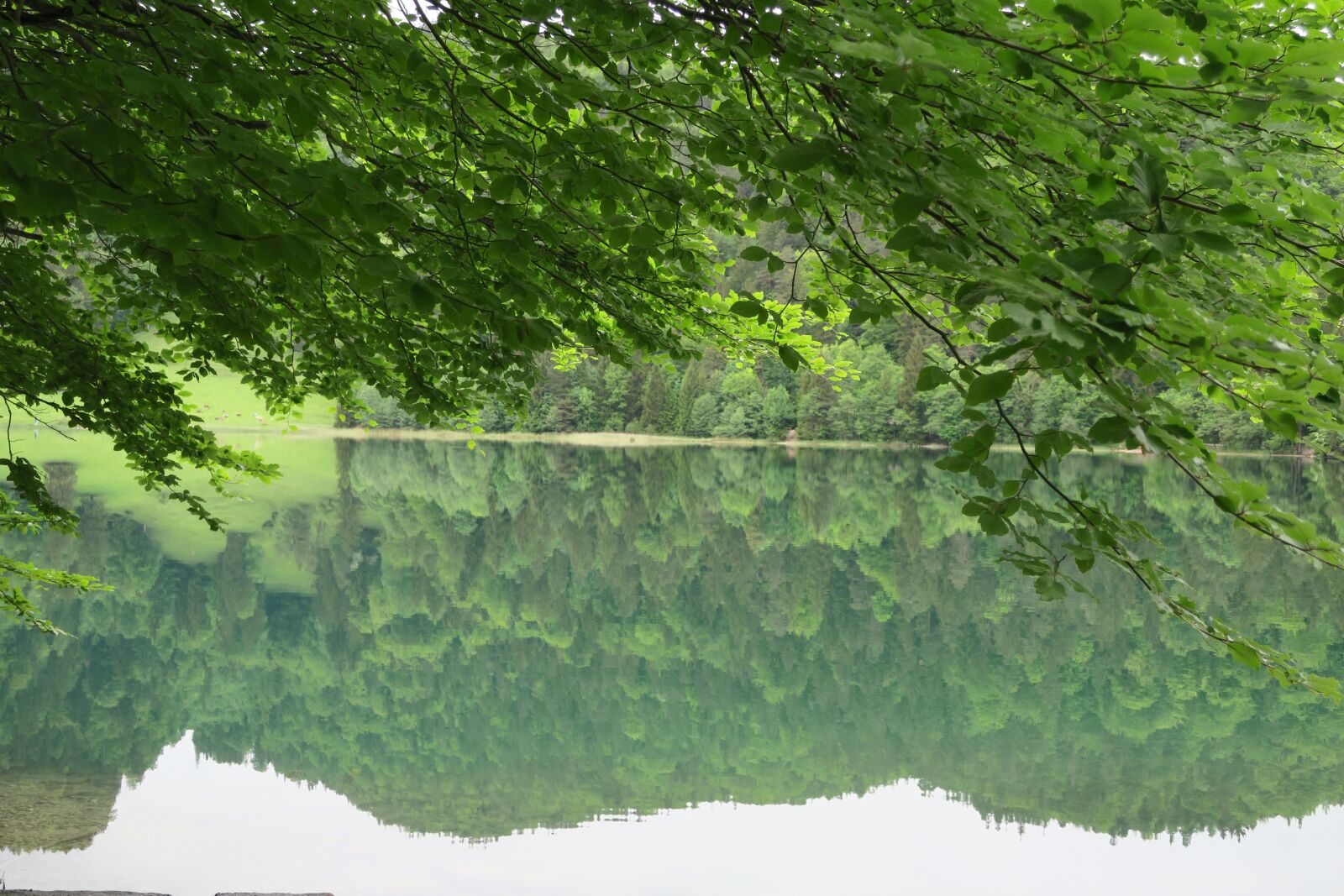 Canon PowerShot G9 X sample photo. Lake, reflection, landscape photography