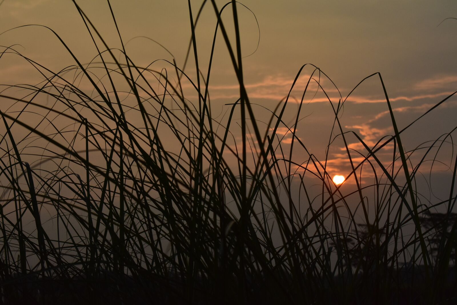 Nikon D3400 sample photo. Sunset, dusk, twilight photography