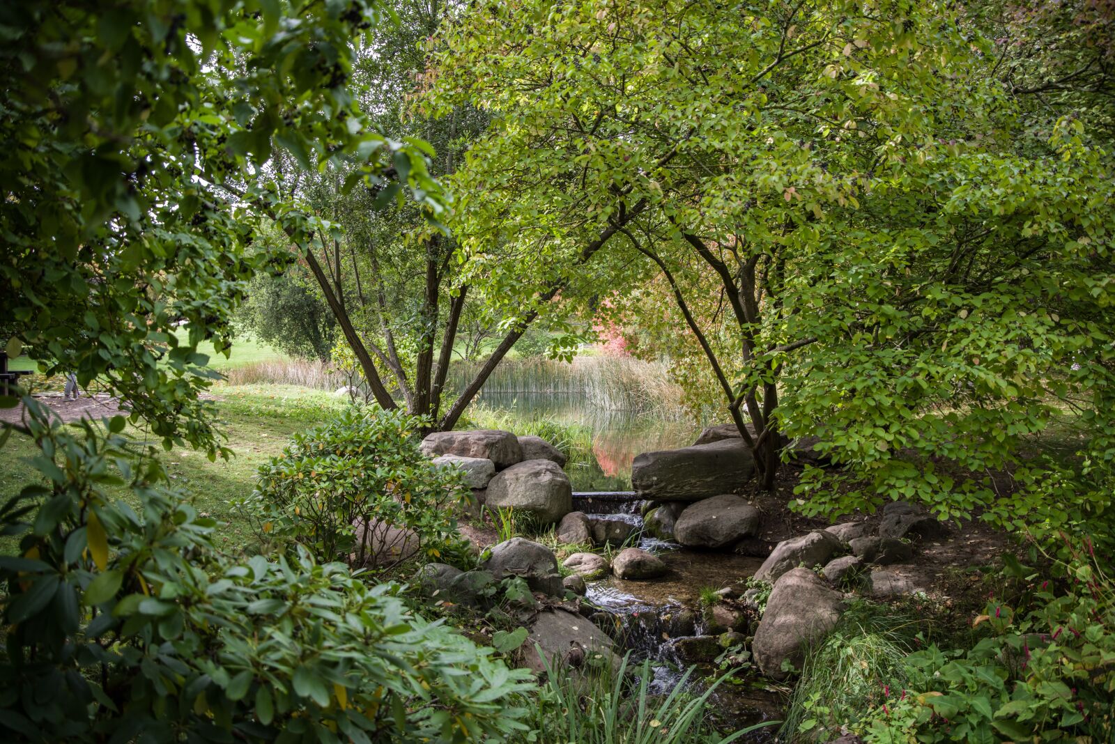 Pentax K-1 Mark II sample photo. Creek, water, landscape photography