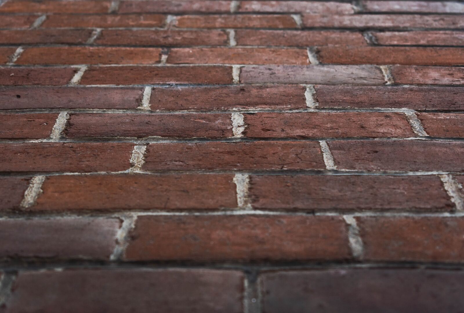 Nikon D5600 sample photo. Bricks, brick, texture photography