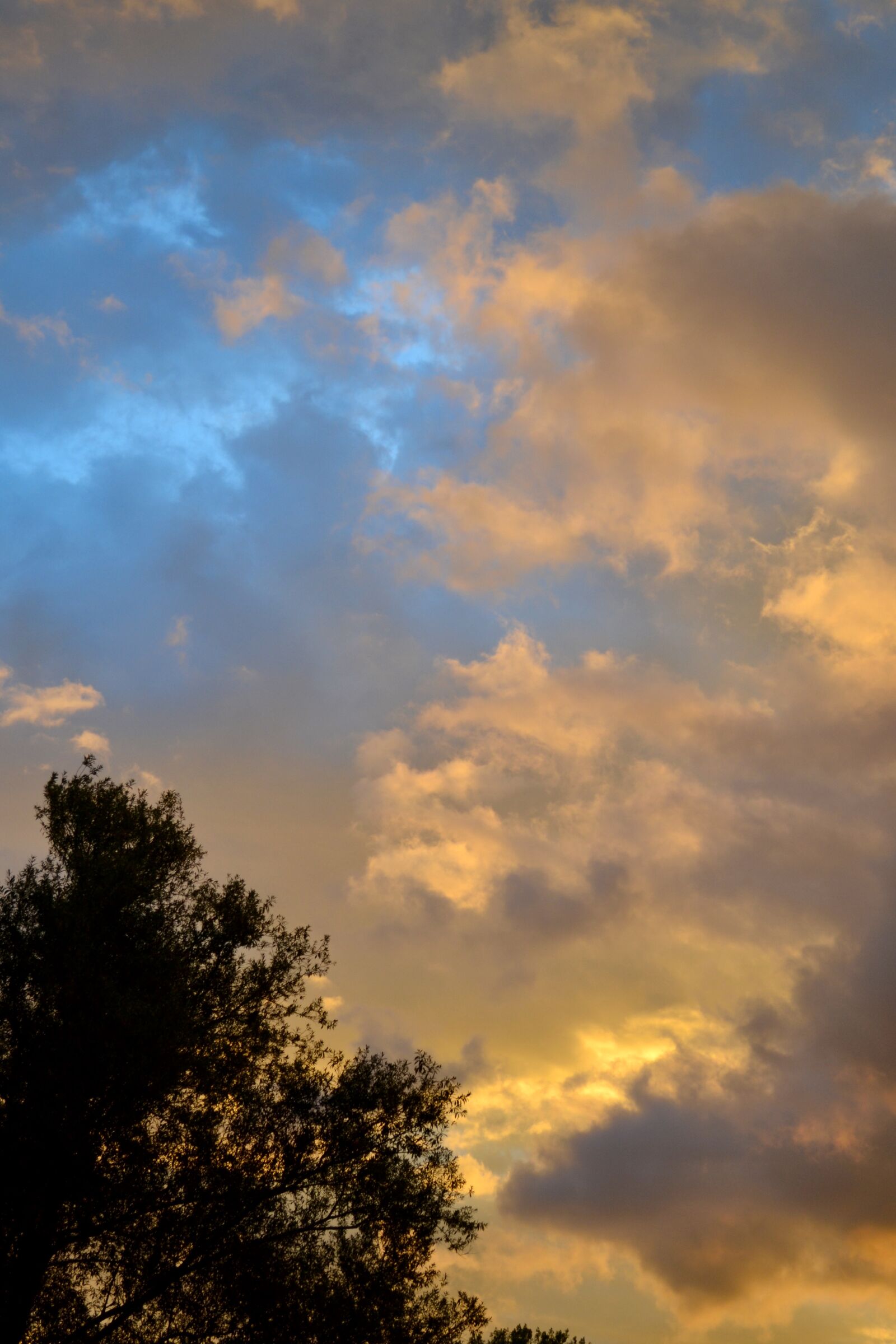 Nikon D3100 sample photo. Blue, clouds, orange, sky photography