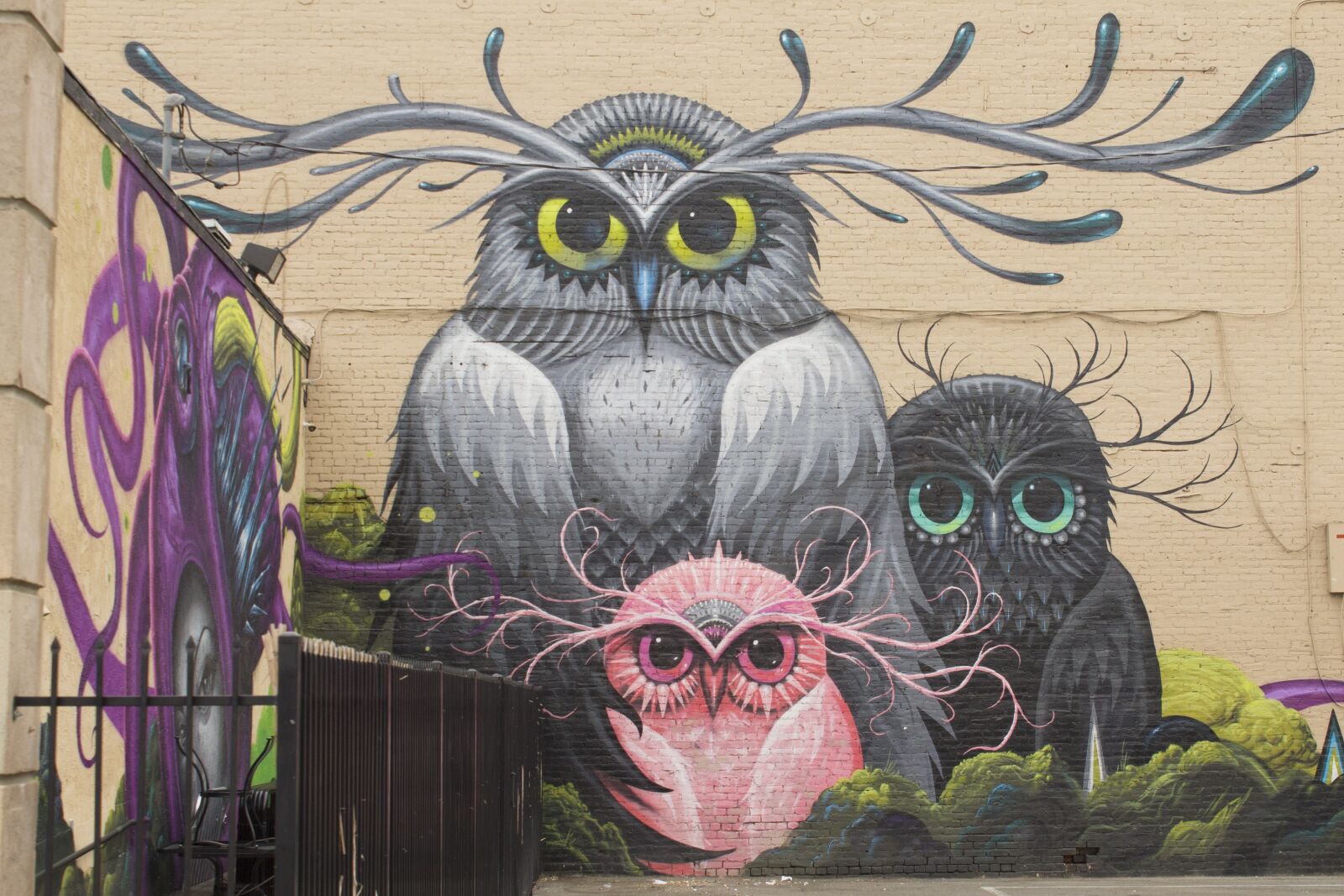 Canon EOS 1100D (EOS Rebel T3 / EOS Kiss X50) sample photo. Background, wall art, graffiti photography