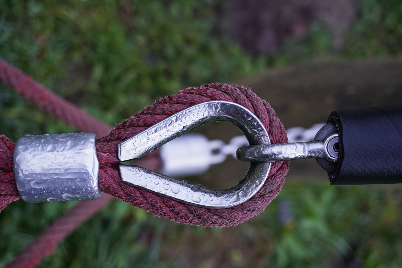 Sony a6500 sample photo. Rope, dew, carbine photography