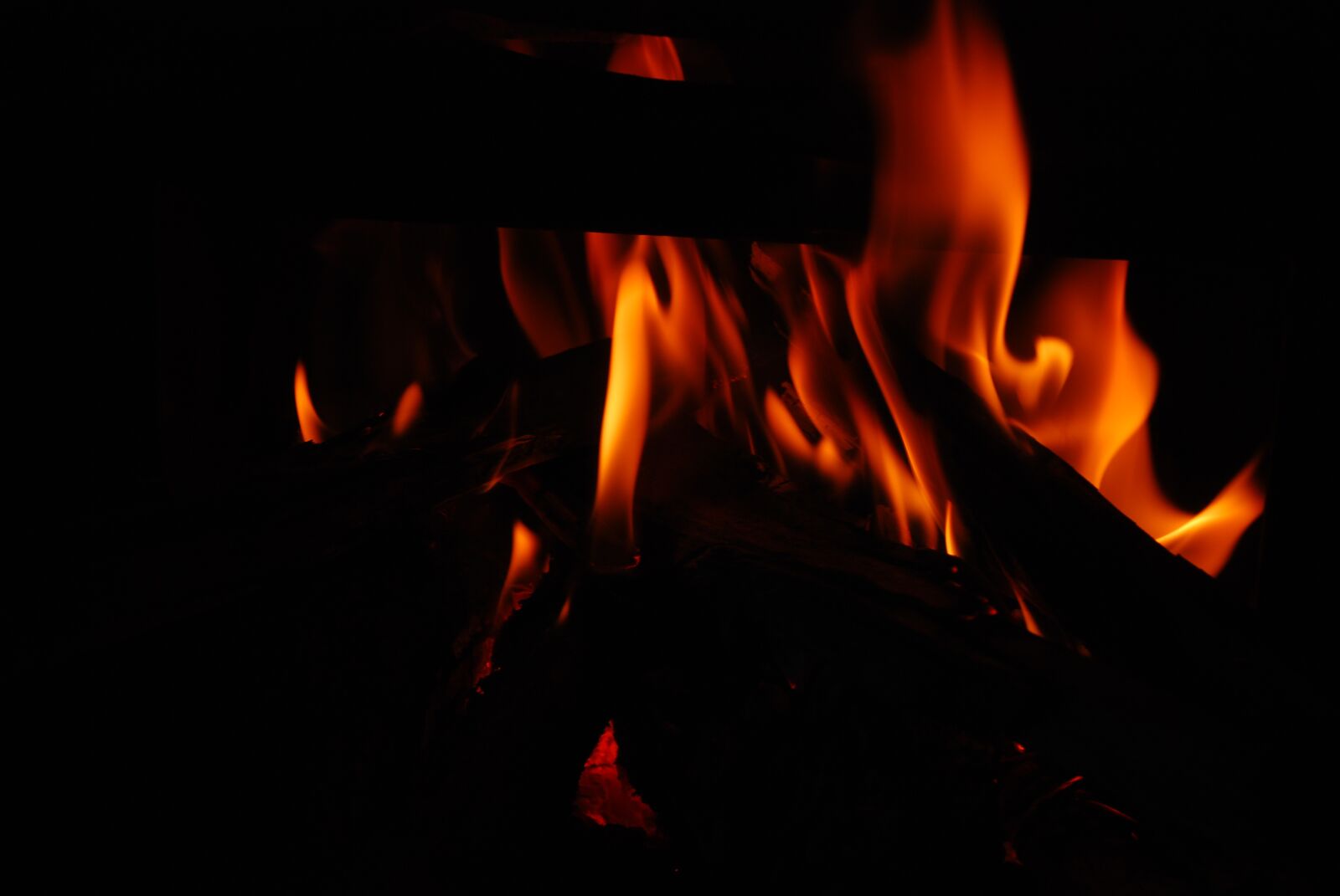 Nikon D80 sample photo. Fire, woodfire, warm photography