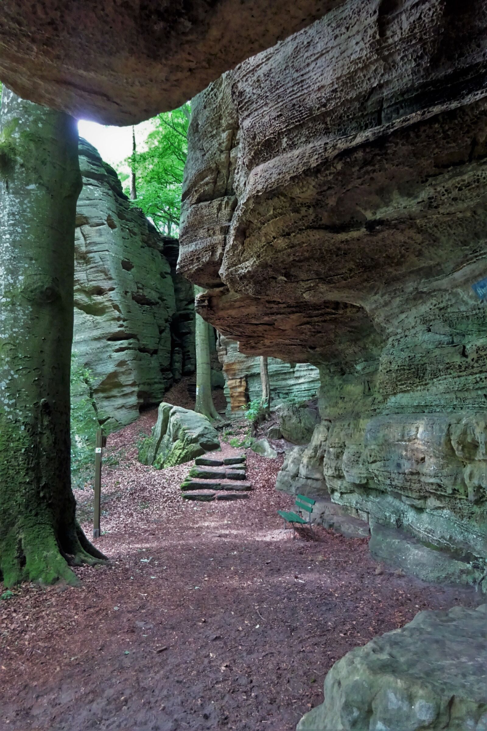 Sony Cyber-shot DSC-WX350 sample photo. The mullerthal, rocks, luxembourg photography