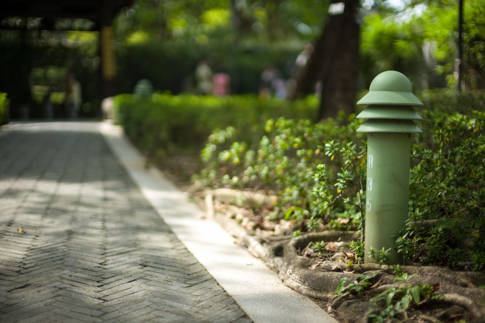Leica Noctilux-M 50mm F0.95 ASPH sample photo. Park, road, green photography