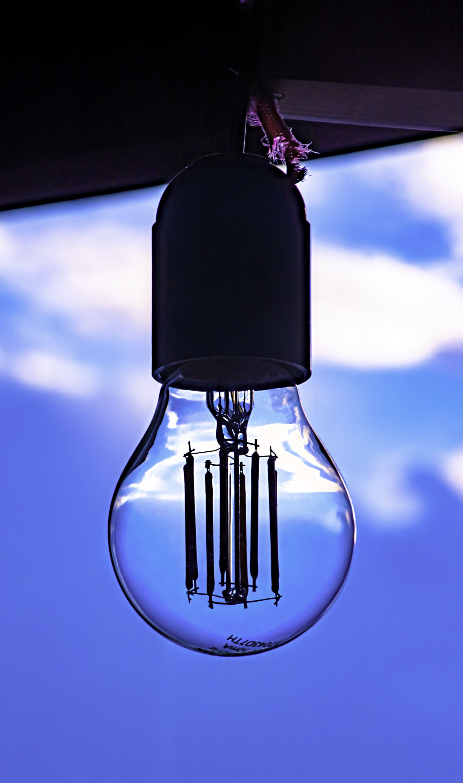 Nikon D5600 sample photo. Bulb, window view, electricity photography