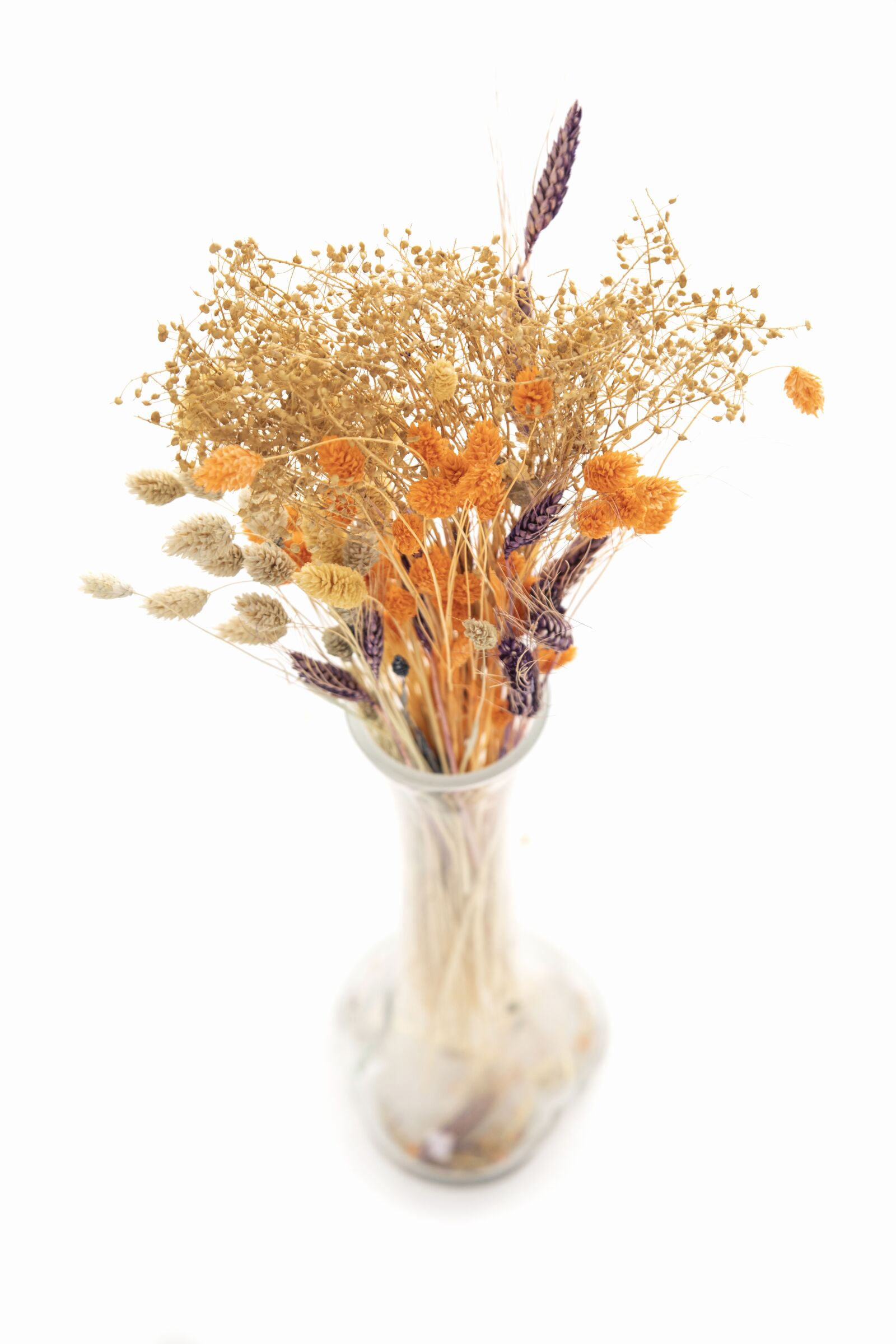 Canon EOS 5D Mark IV sample photo. Flower, dry, dried photography