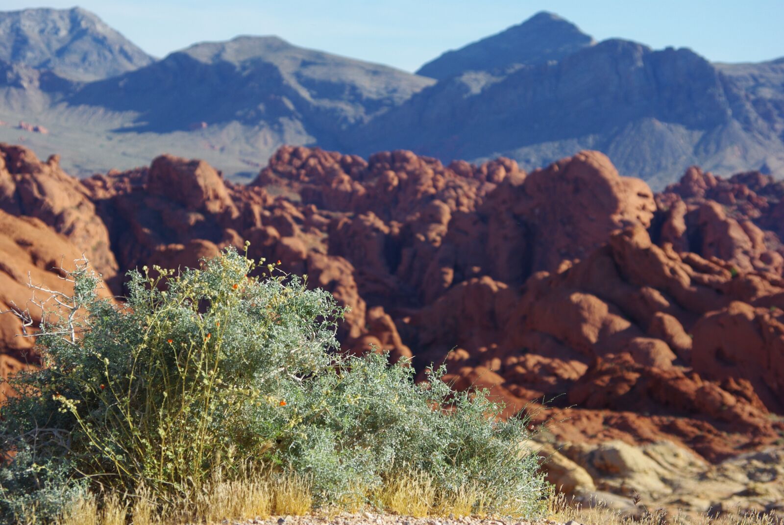 Pentax K200D sample photo. Valley of fire, nevada photography
