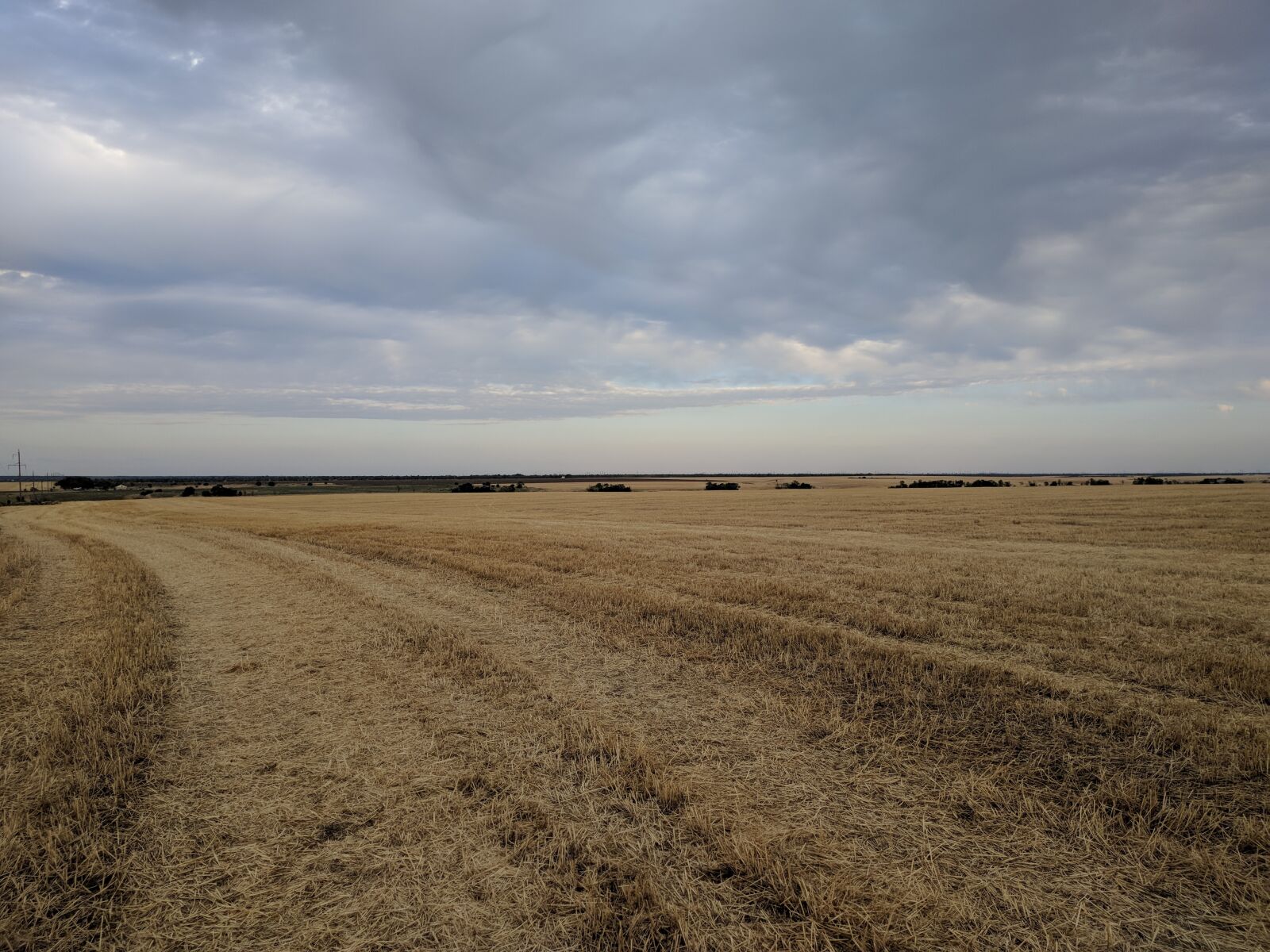 Xiaomi Redmi Note 5 sample photo. Field, wheat, sky photography