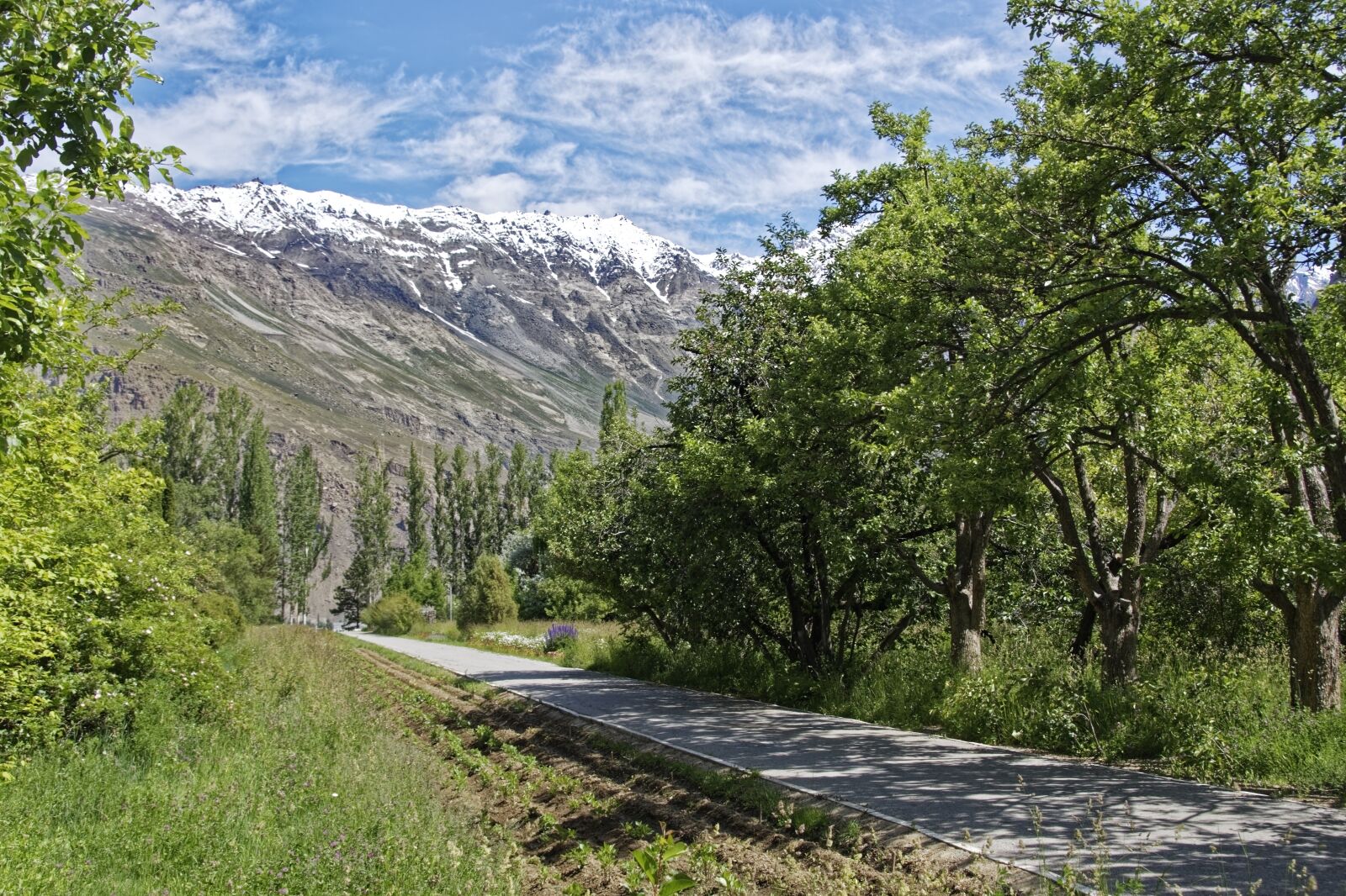 Nikon D500 sample photo. Tajikistan, khorugh, botanical garden photography
