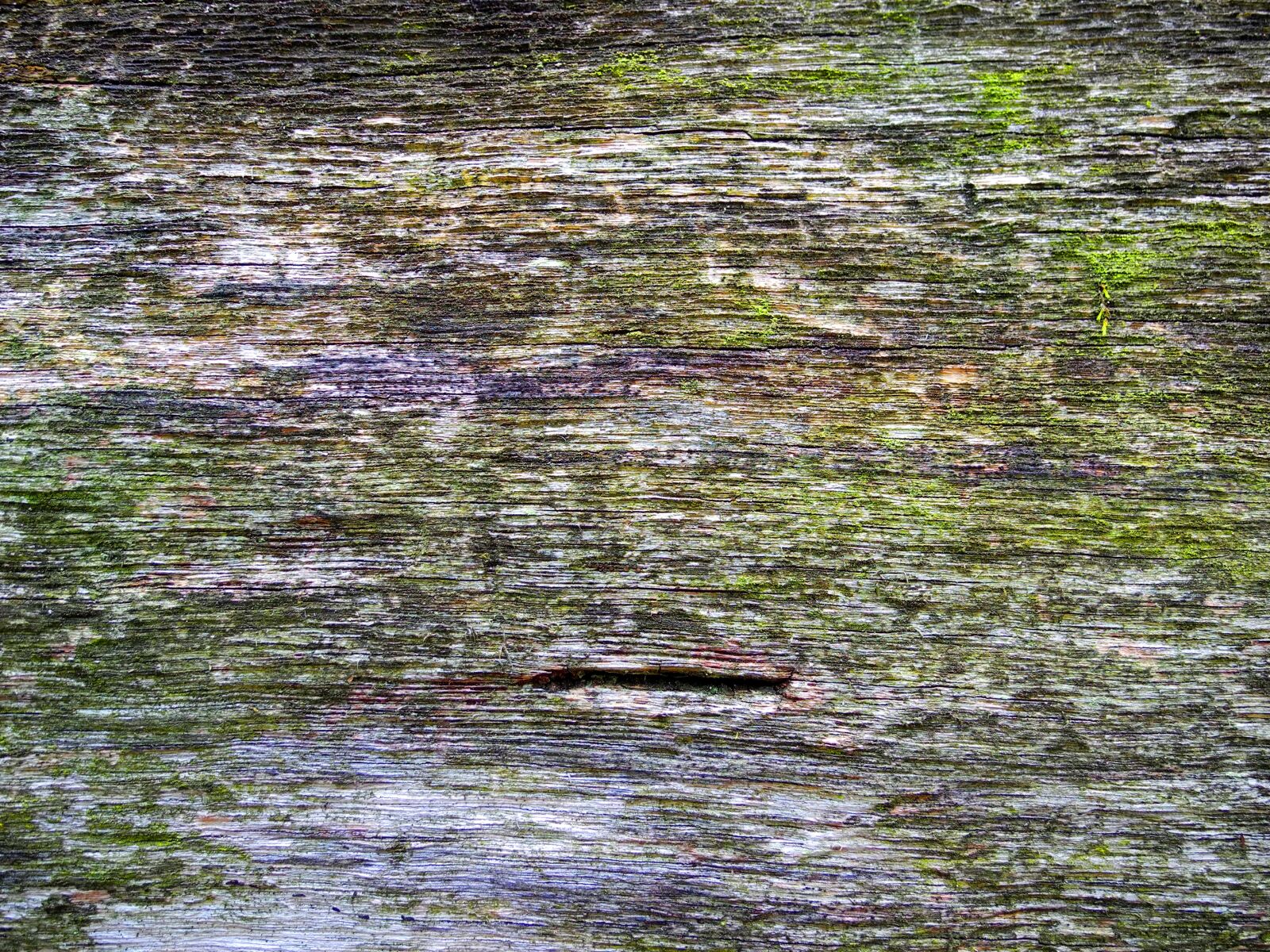 Nikon Coolpix P7000 sample photo. Wood, old, texture photography