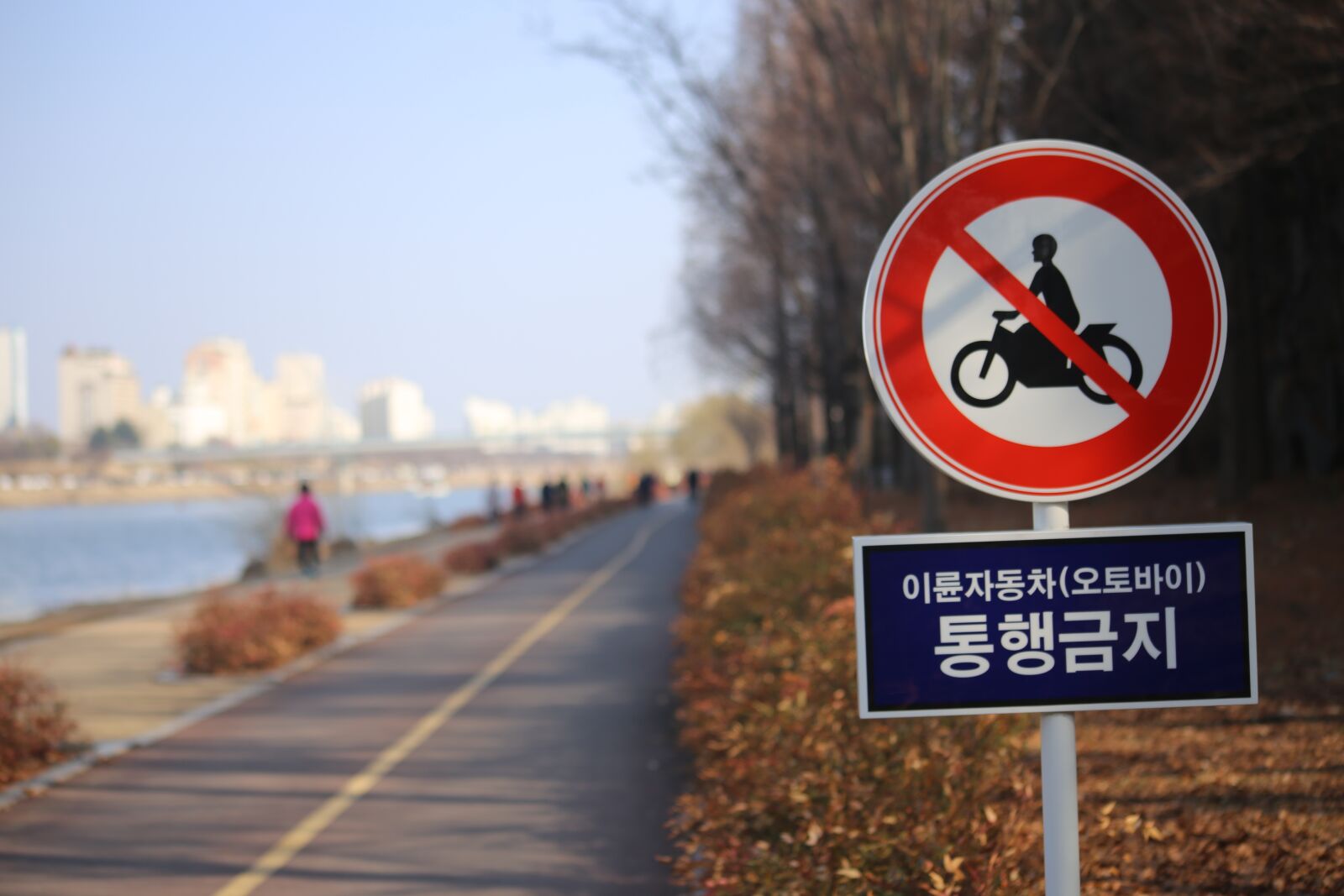 Canon EOS 6D sample photo. Road, travel, street photography