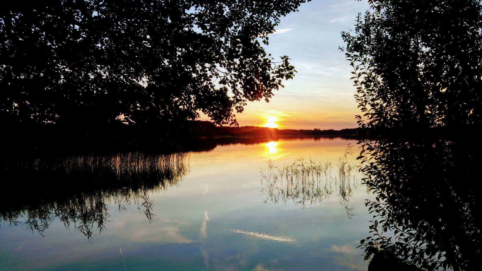 LG G4 sample photo. Germany, brandenburg, lake photography