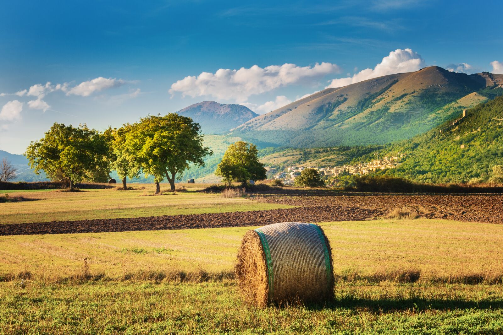 Canon EF-S 55-250mm F4-5.6 IS STM sample photo. Landscape, straw, agriculture photography