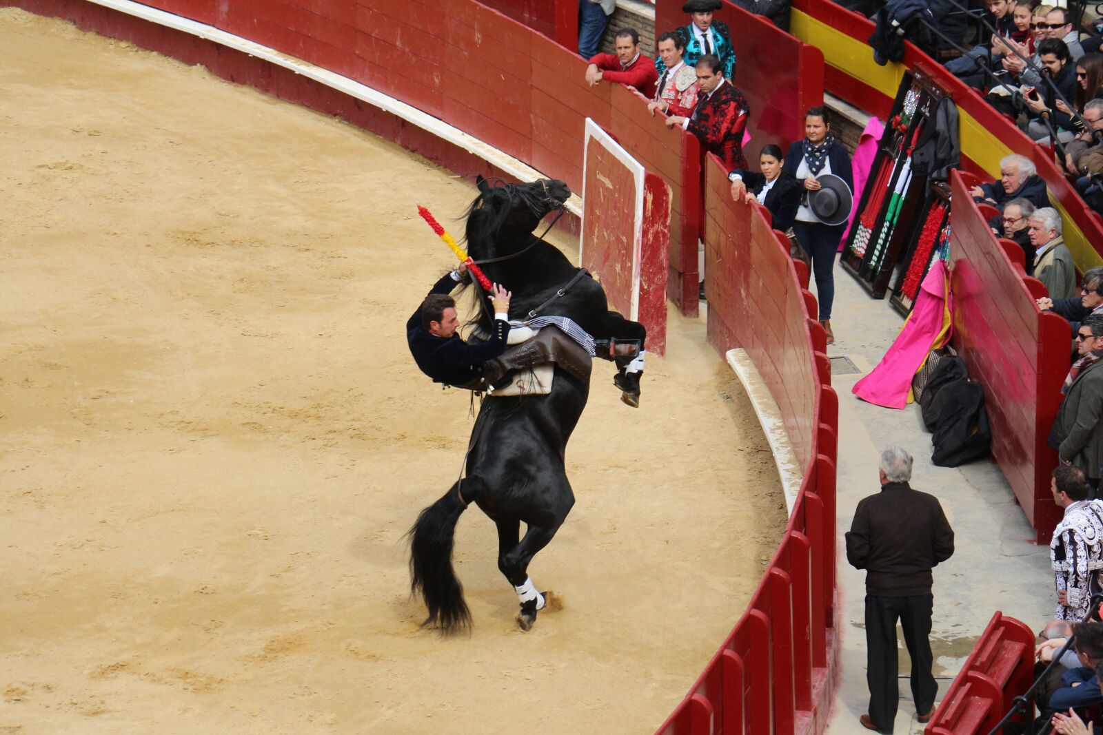 Canon EOS 700D (EOS Rebel T5i / EOS Kiss X7i) sample photo. Bullring, torero photography