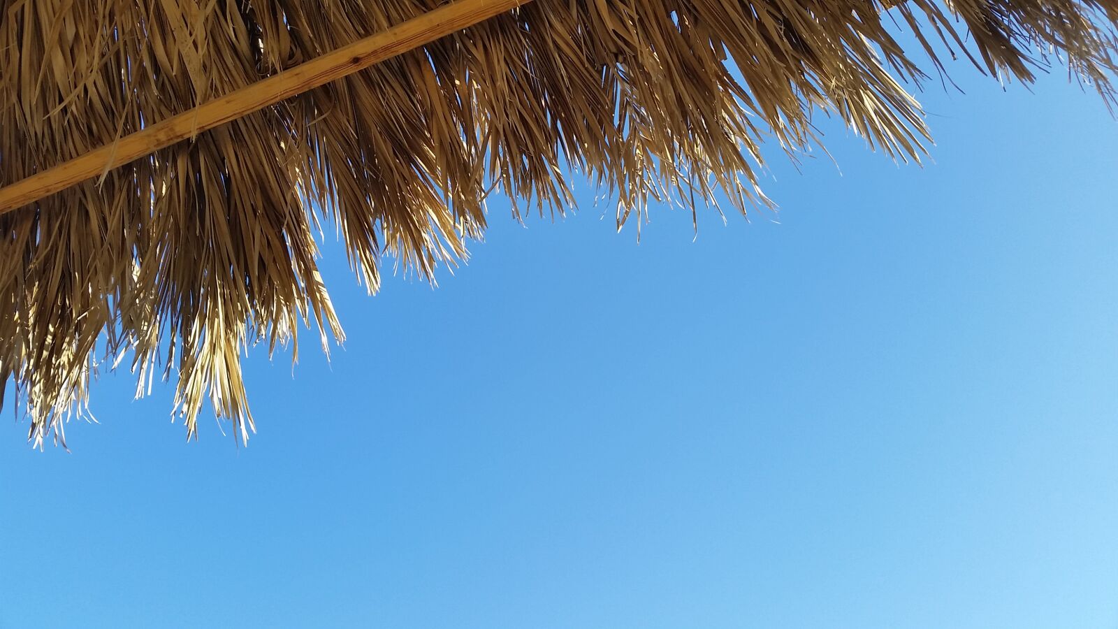 Samsung Galaxy S5 sample photo. Sky, palm trees, vacations photography
