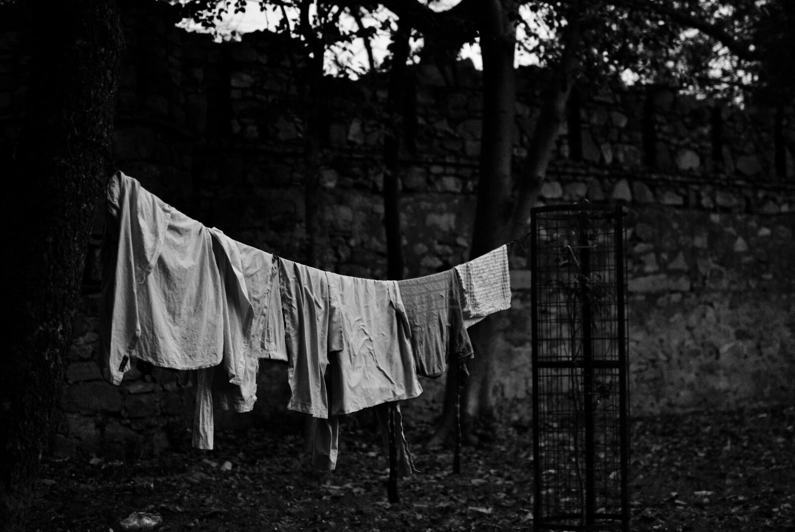 Nikon D3100 sample photo. Black, and, white, clotheline photography