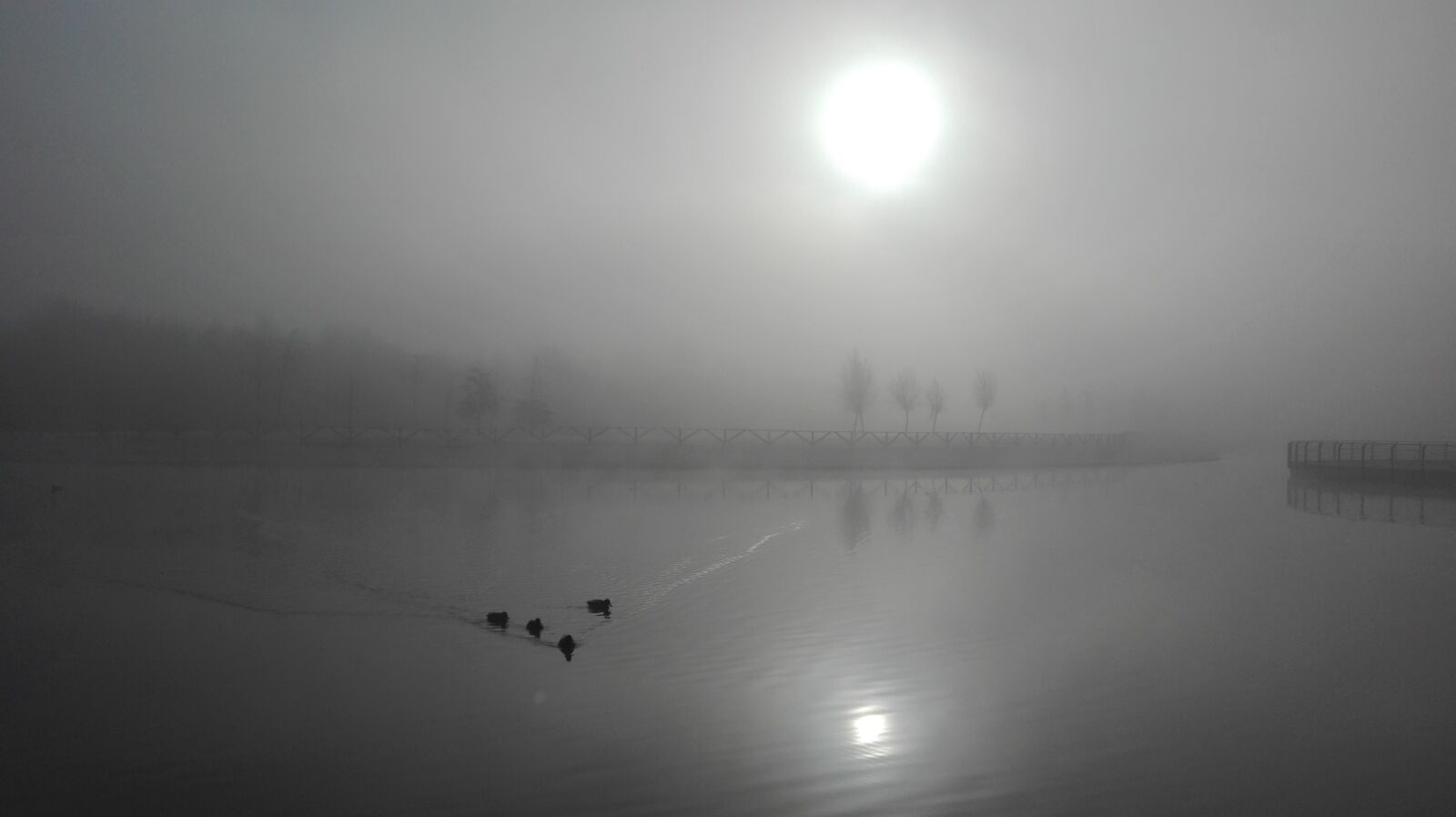 HUAWEI ALE-L21 sample photo. Fog, lake, nature photography