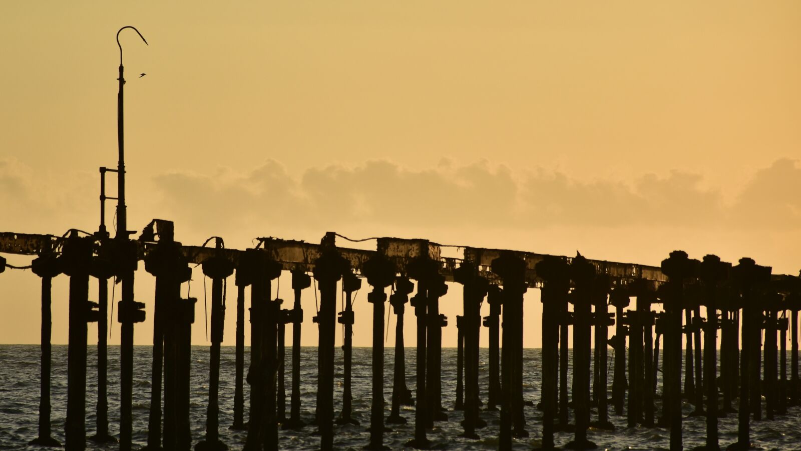 Nikon D5500 sample photo. Beach, pier, rotting photography