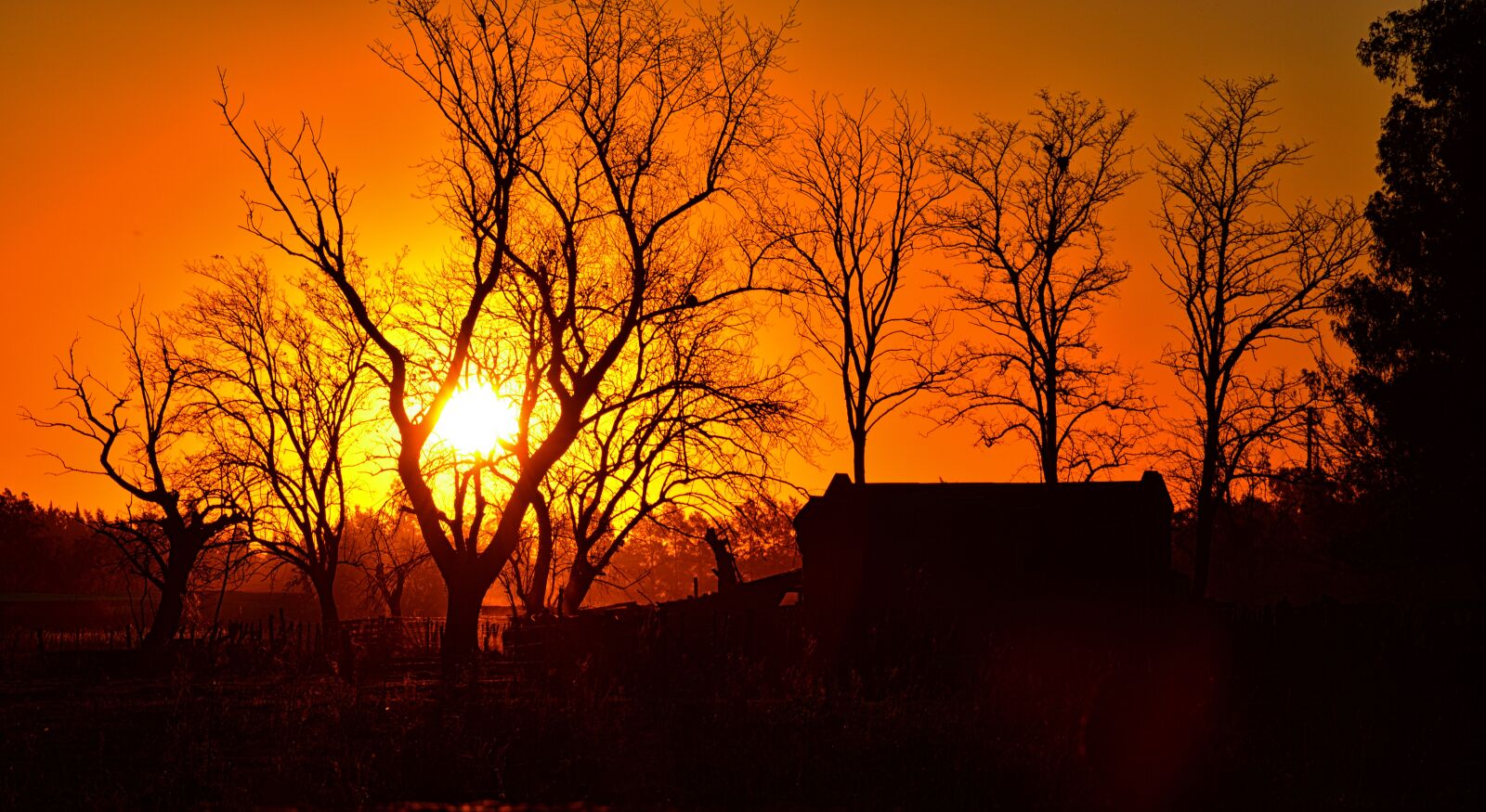 Nikon D5200 sample photo. Sunset, sun, field photography
