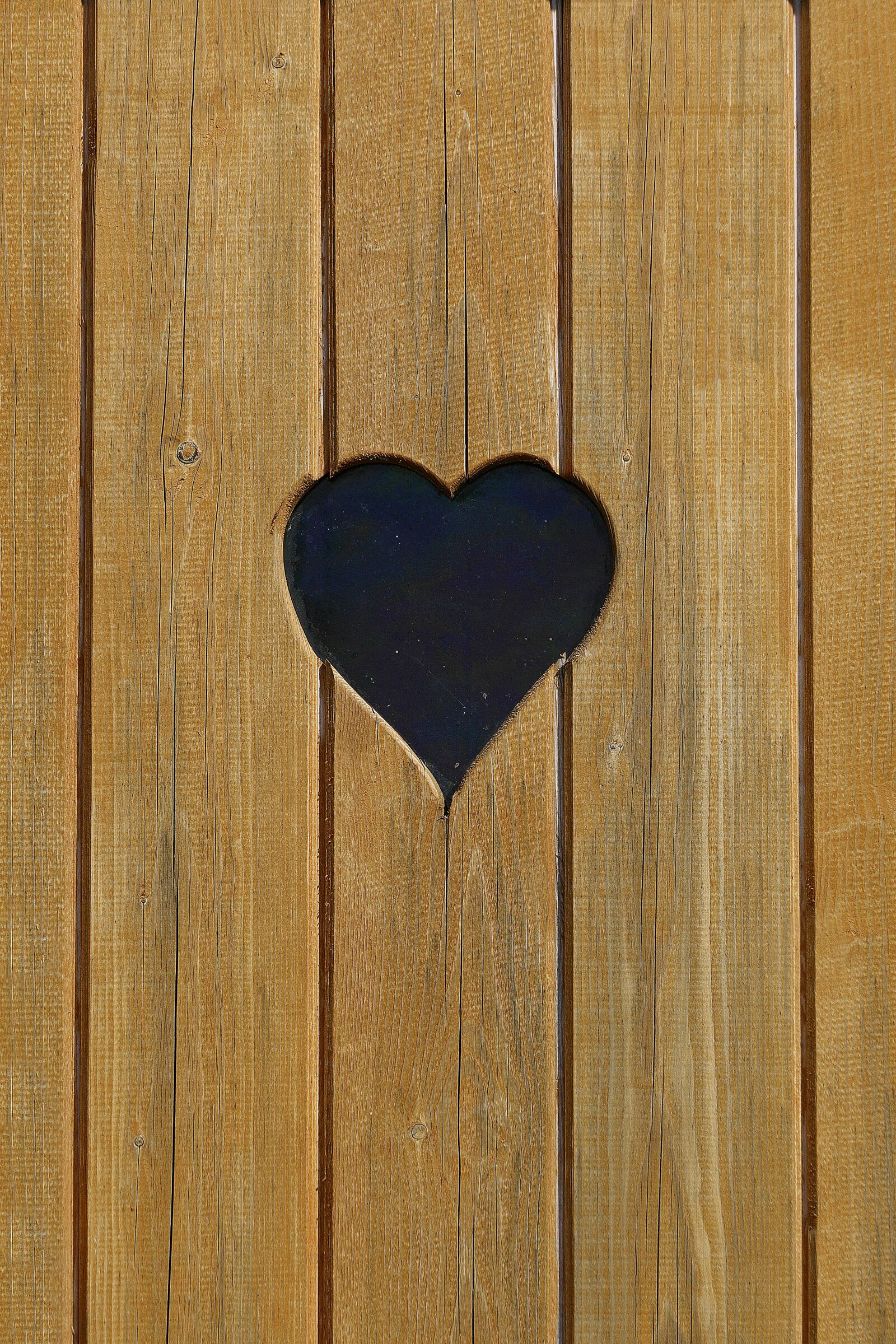 Panasonic Lumix DMC-FZ1000 sample photo. Heart, loo, wood photography
