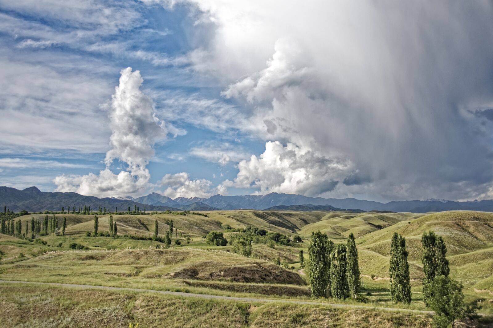 Nikon D500 sample photo. Kyrgyzstan, the ferghana mountains photography