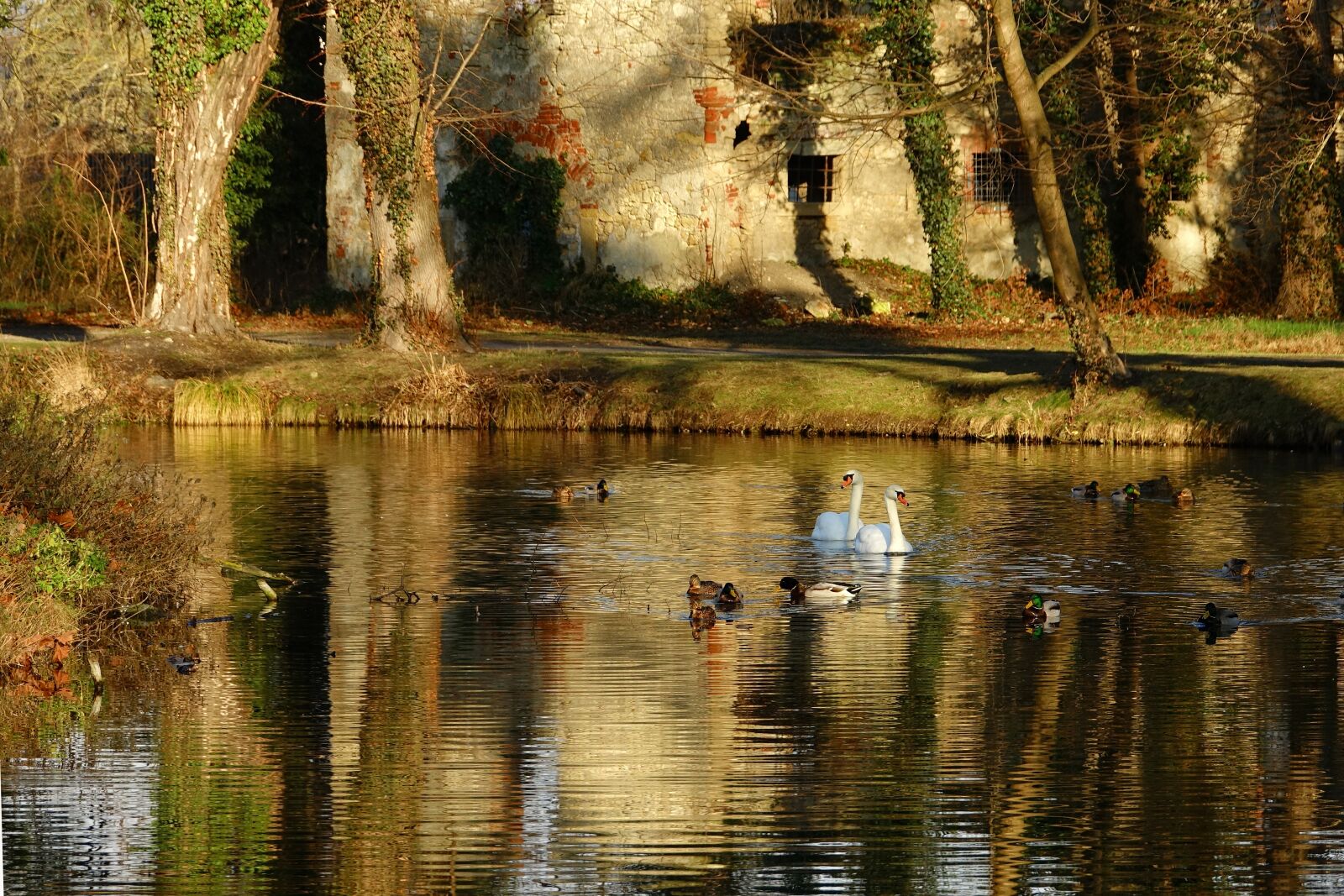 Sony Cyber-shot DSC-RX10 III sample photo. Waters, reflection, nature photography