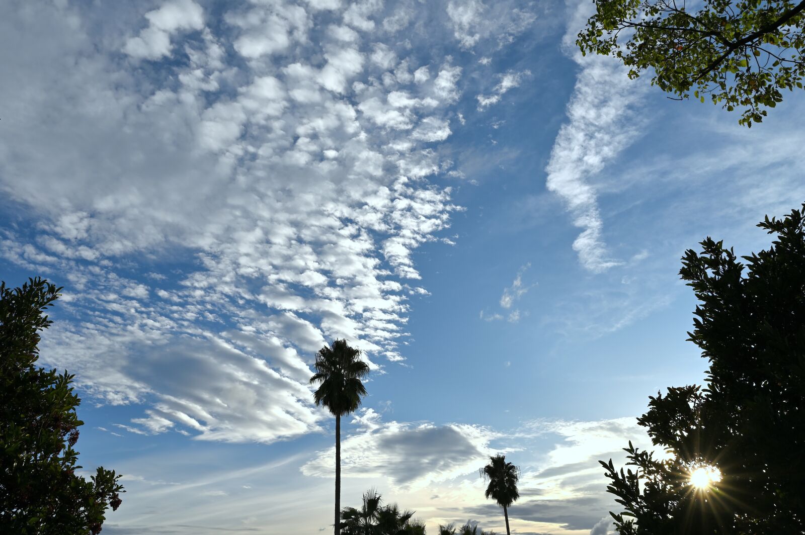 Nikon Nikkor Z 24-70mm F2.8 S sample photo. Sky, cloud, landscape photography