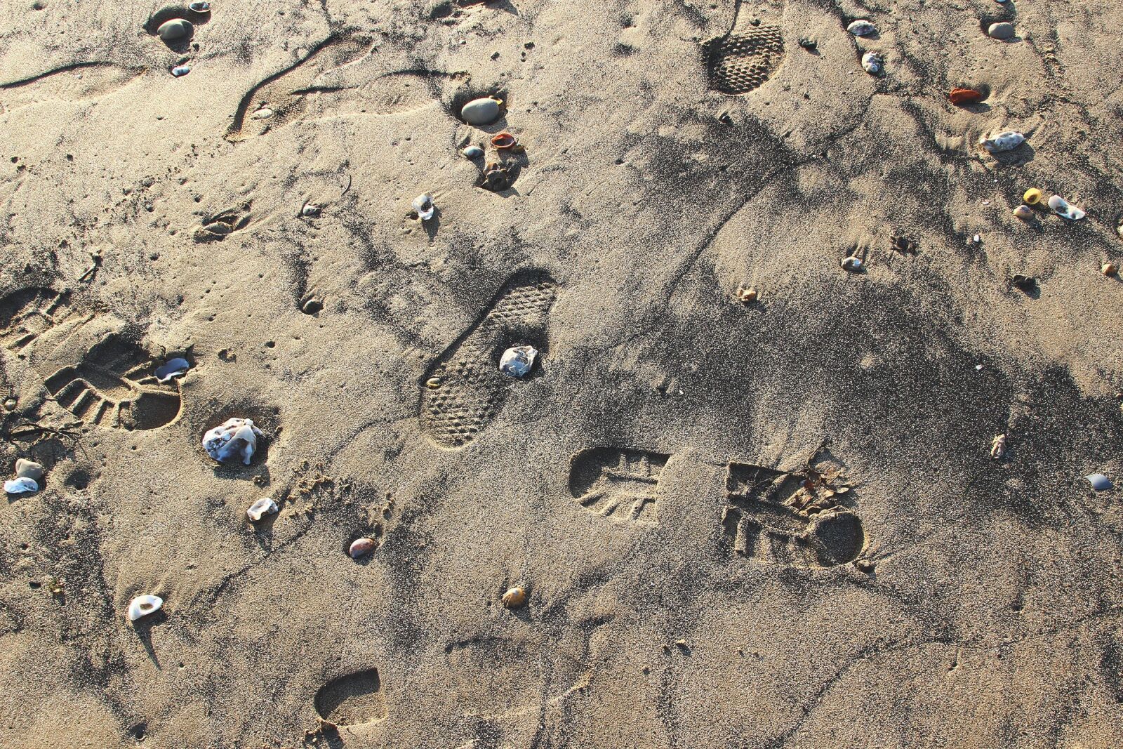 Canon EF 28-135mm F3.5-5.6 IS USM sample photo. Beach, shells, holidays photography