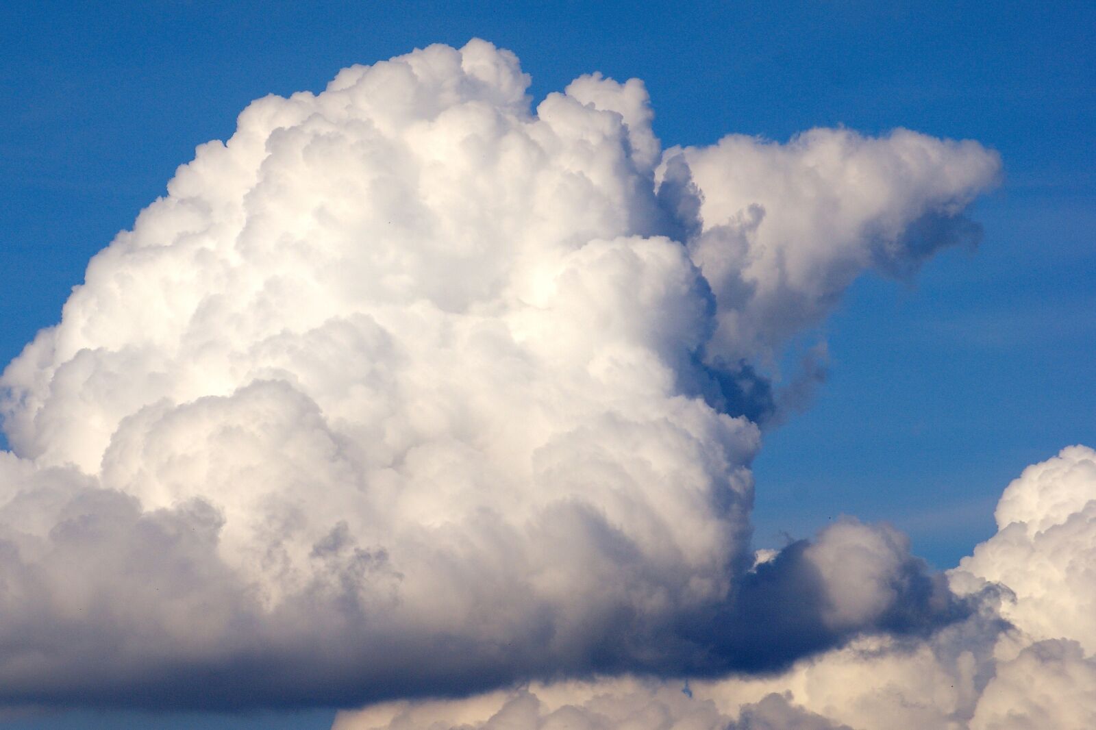 Sony Alpha DSLR-A350 sample photo. Cloud, sky, blue photography