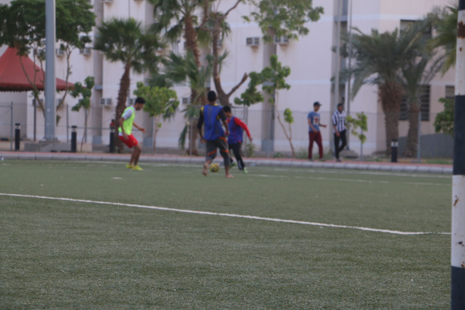 Canon EOS 70D sample photo