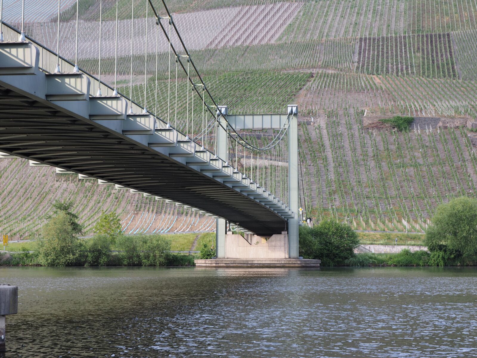 Olympus OM-D E-M1 + OLYMPUS M.12-50mm F3.5-6.3 sample photo. Bridge, suspension bridge, wehlen photography