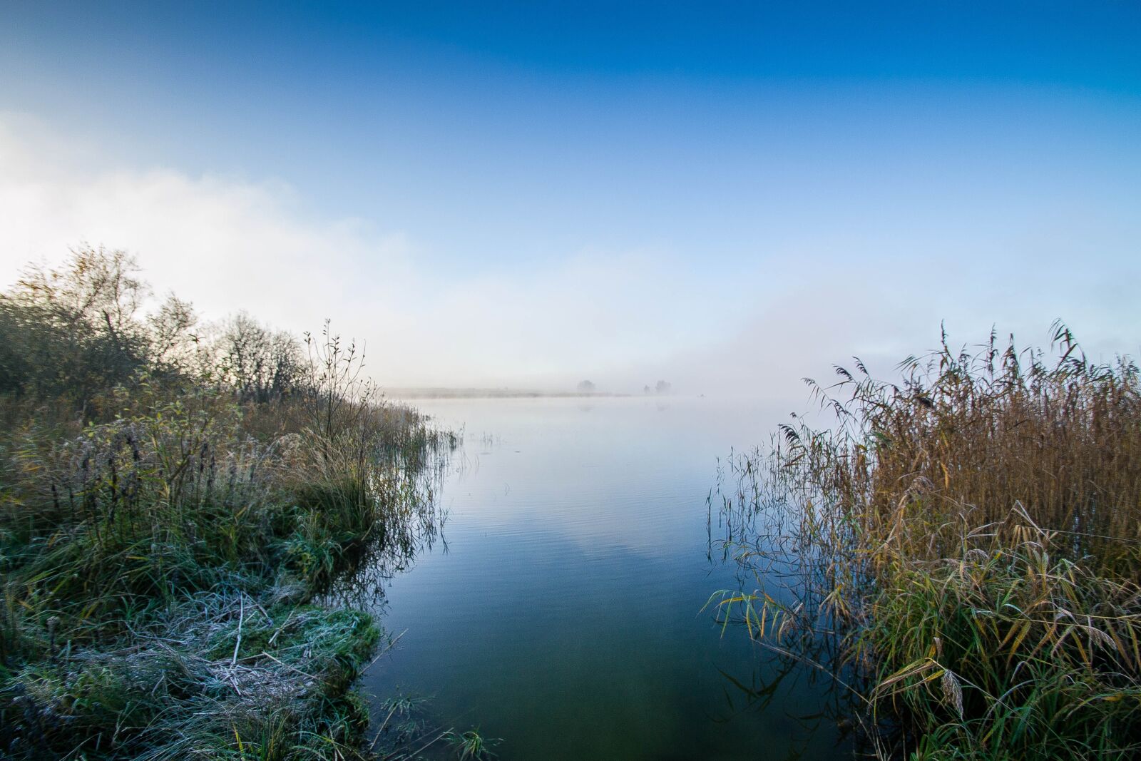 Nikon D3100 sample photo. Lake, hoarfrost, reed photography