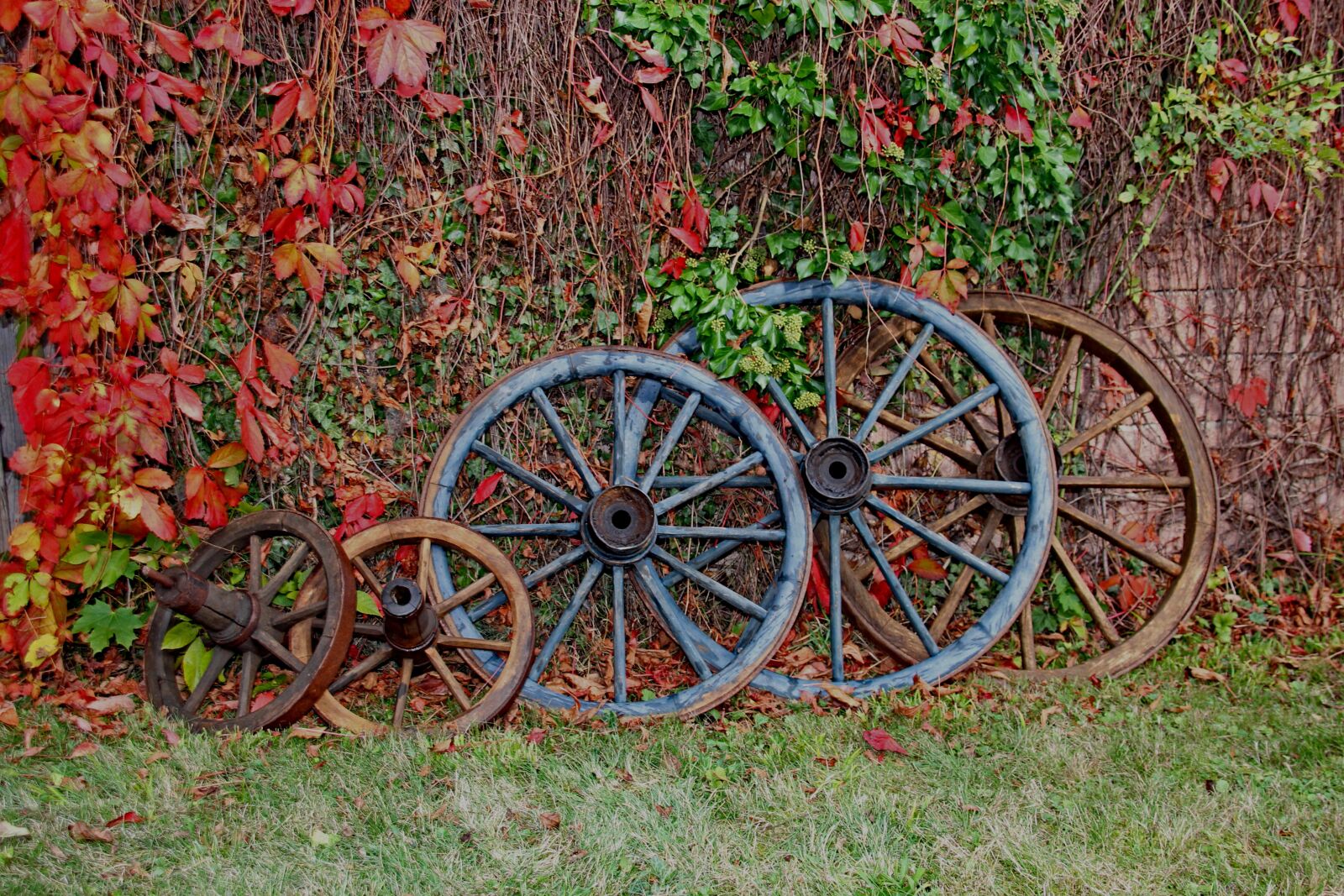 Canon EOS 60D sample photo. Wheel, wooden wheel, autumn photography