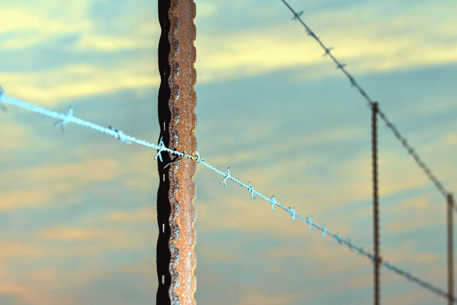 Canon EOS 70D sample photo. Metal, pillar, wire, barbed photography