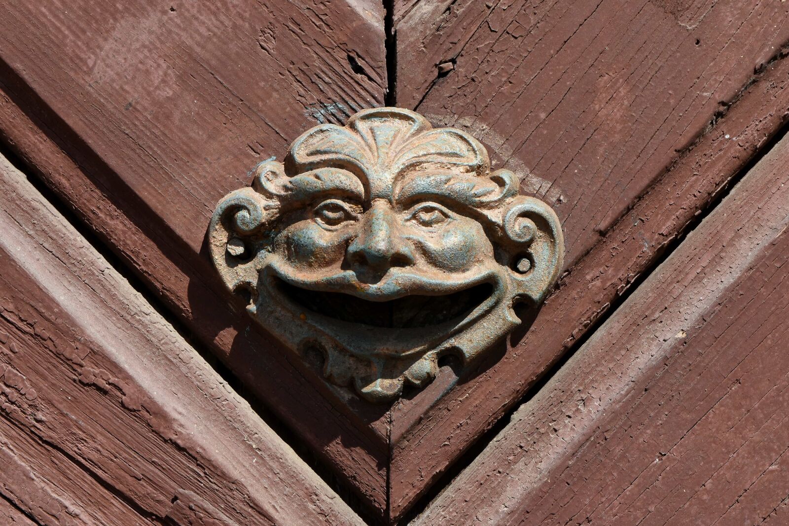 Nikon D5500 sample photo. Front door, handmade, oak photography