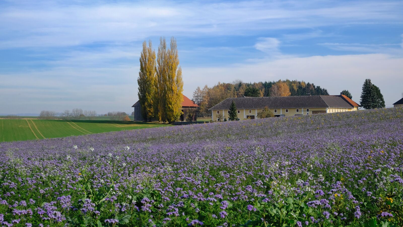 Fujifilm XC 15-45mm F3.5-5.6 OIS PZ sample photo. Nature, landscape, autumn photography