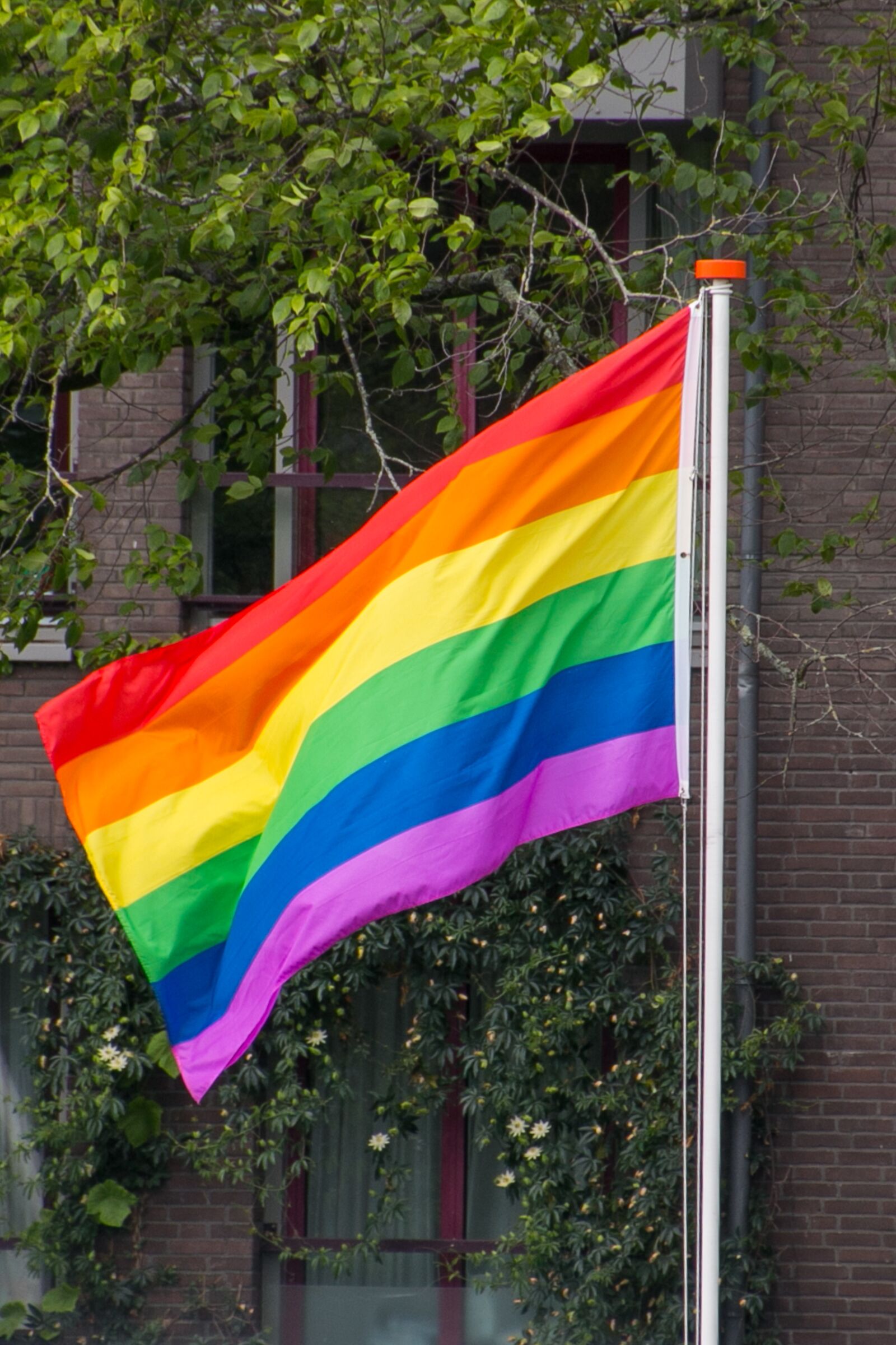 Canon EOS 70D sample photo. Rainbow flag, pride, gay photography