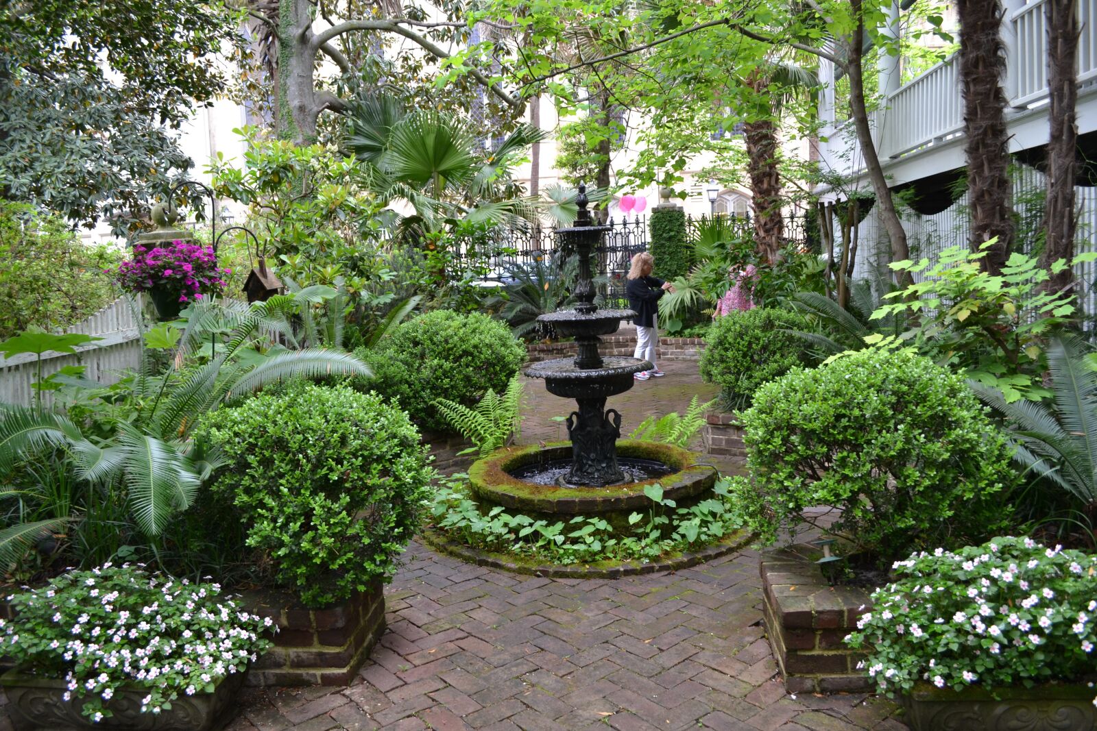 Nikon D3100 sample photo. Savannah, georgia, garden photography