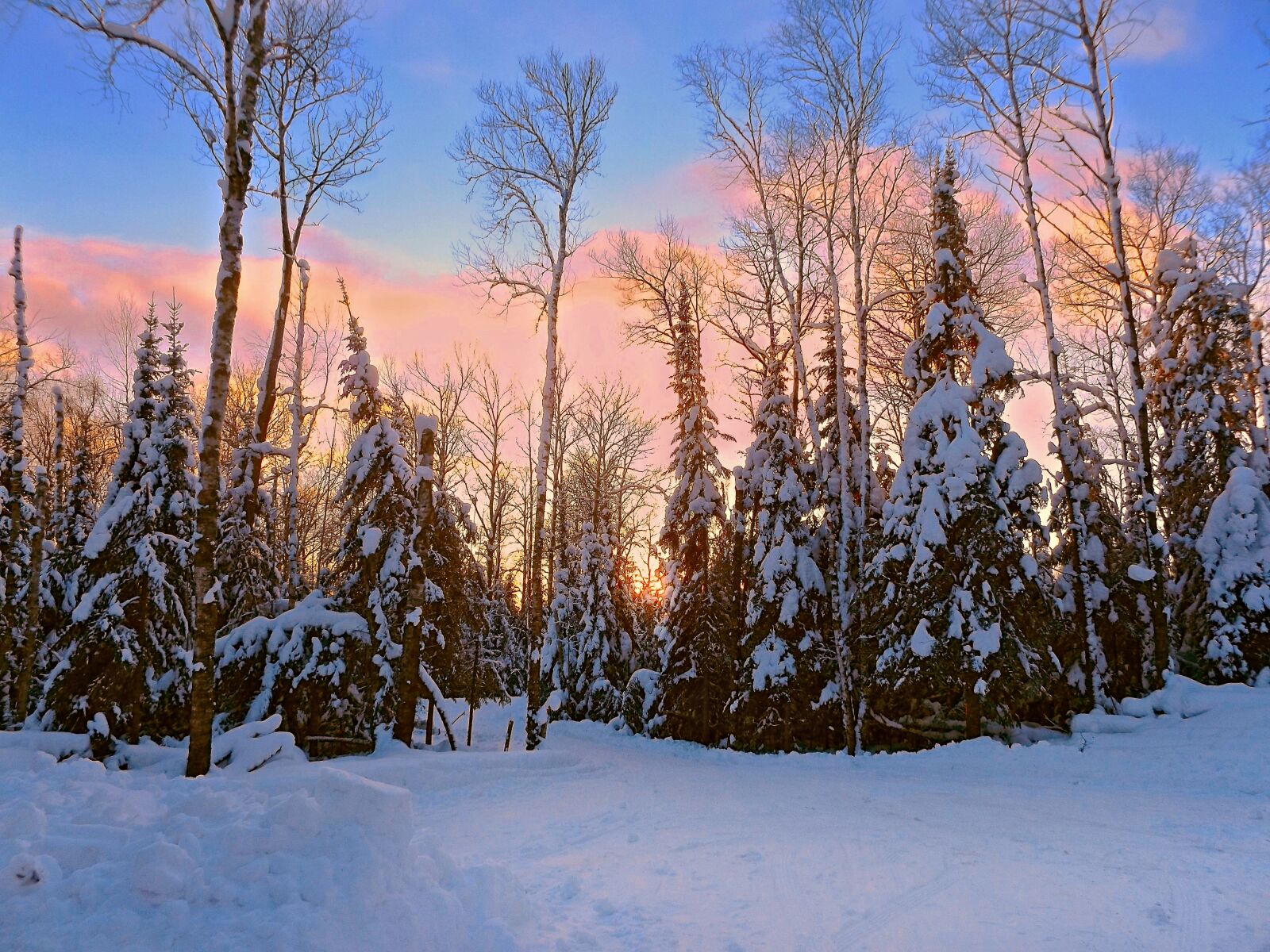 Fujifilm FinePix S8600 sample photo. Dawn, wilderness, snow photography