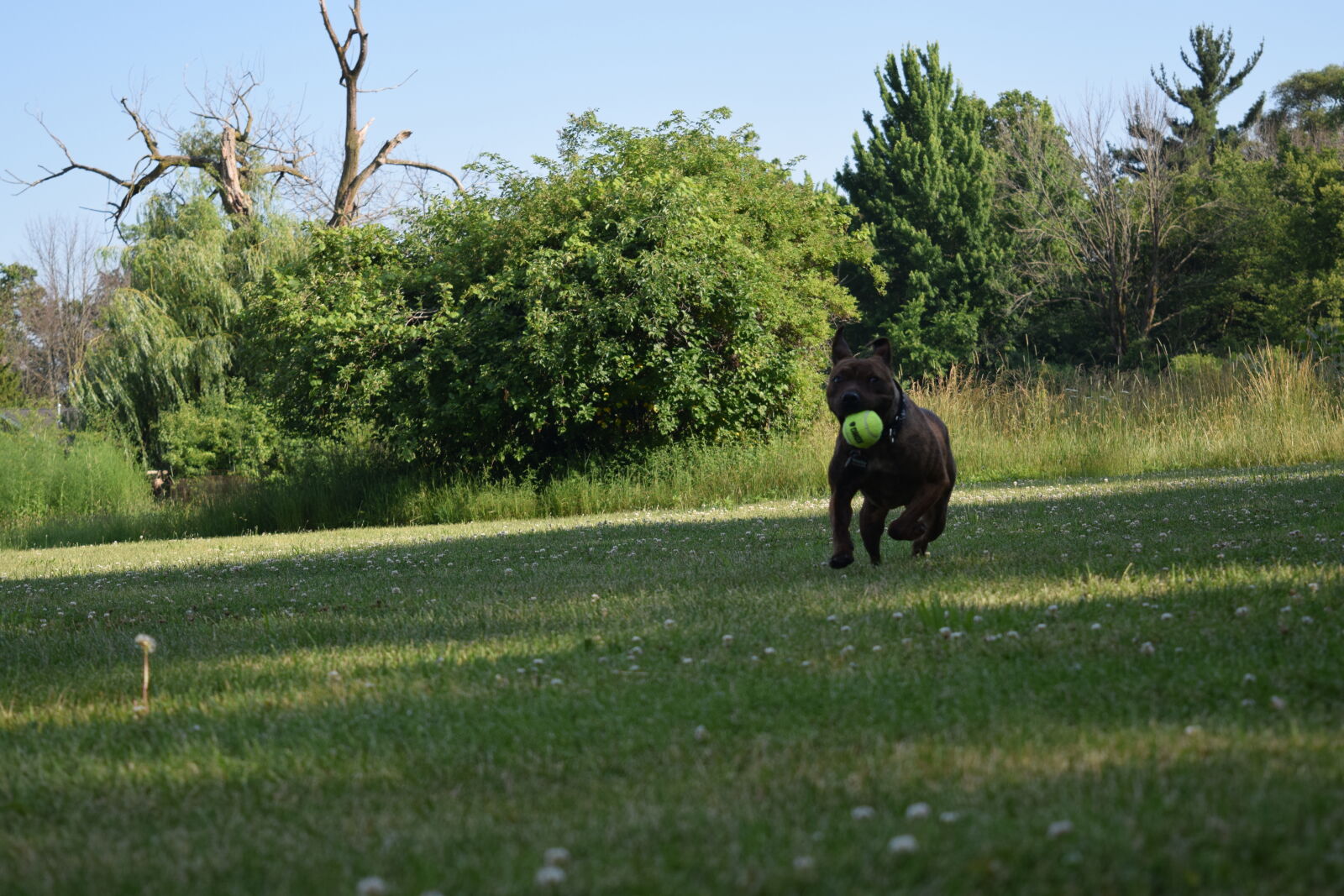 Nikon D3300 sample photo