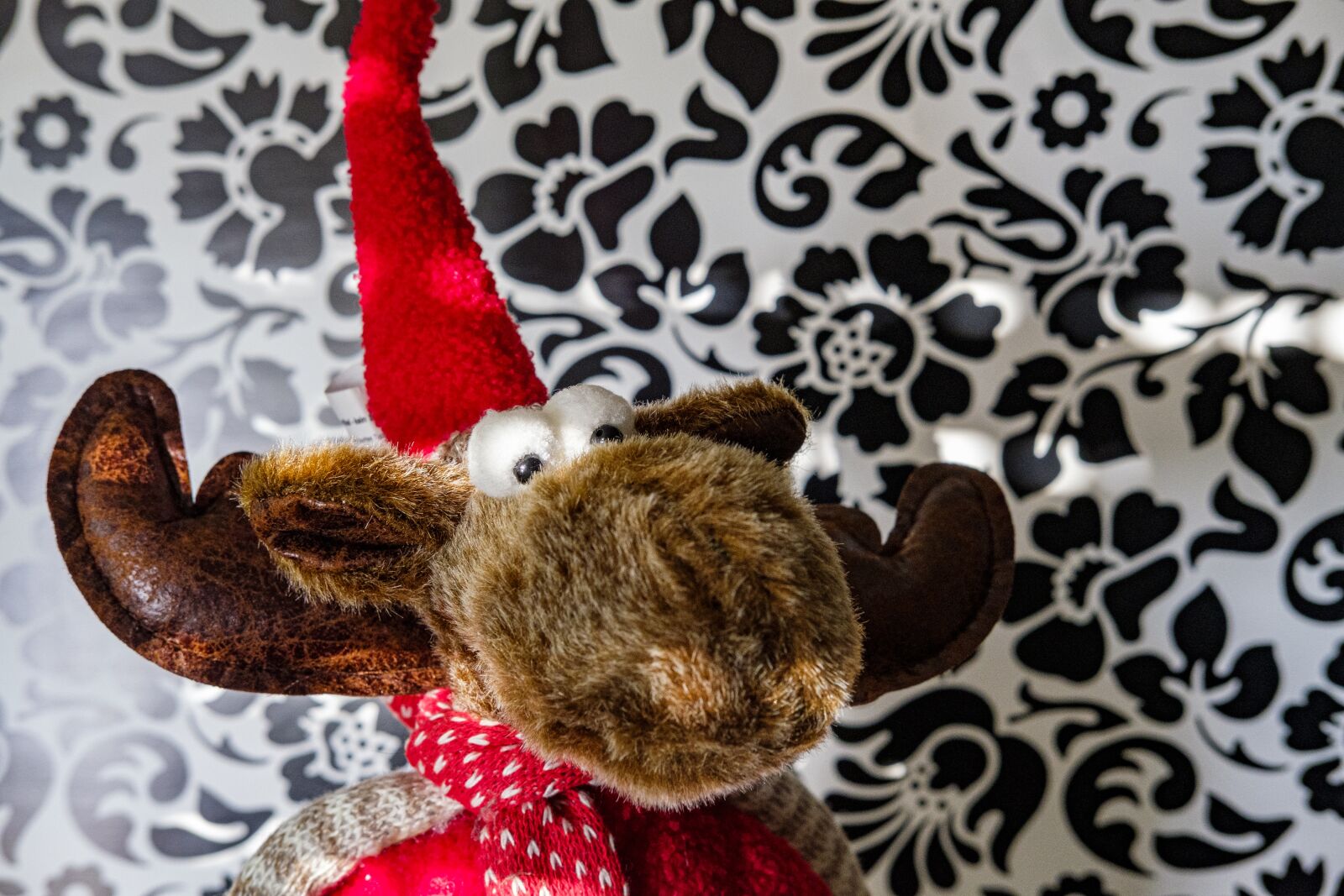 Fujifilm X-T2 + Fujifilm XF 35mm F2 R WR sample photo. Moose, reindeer, stuffed animal photography