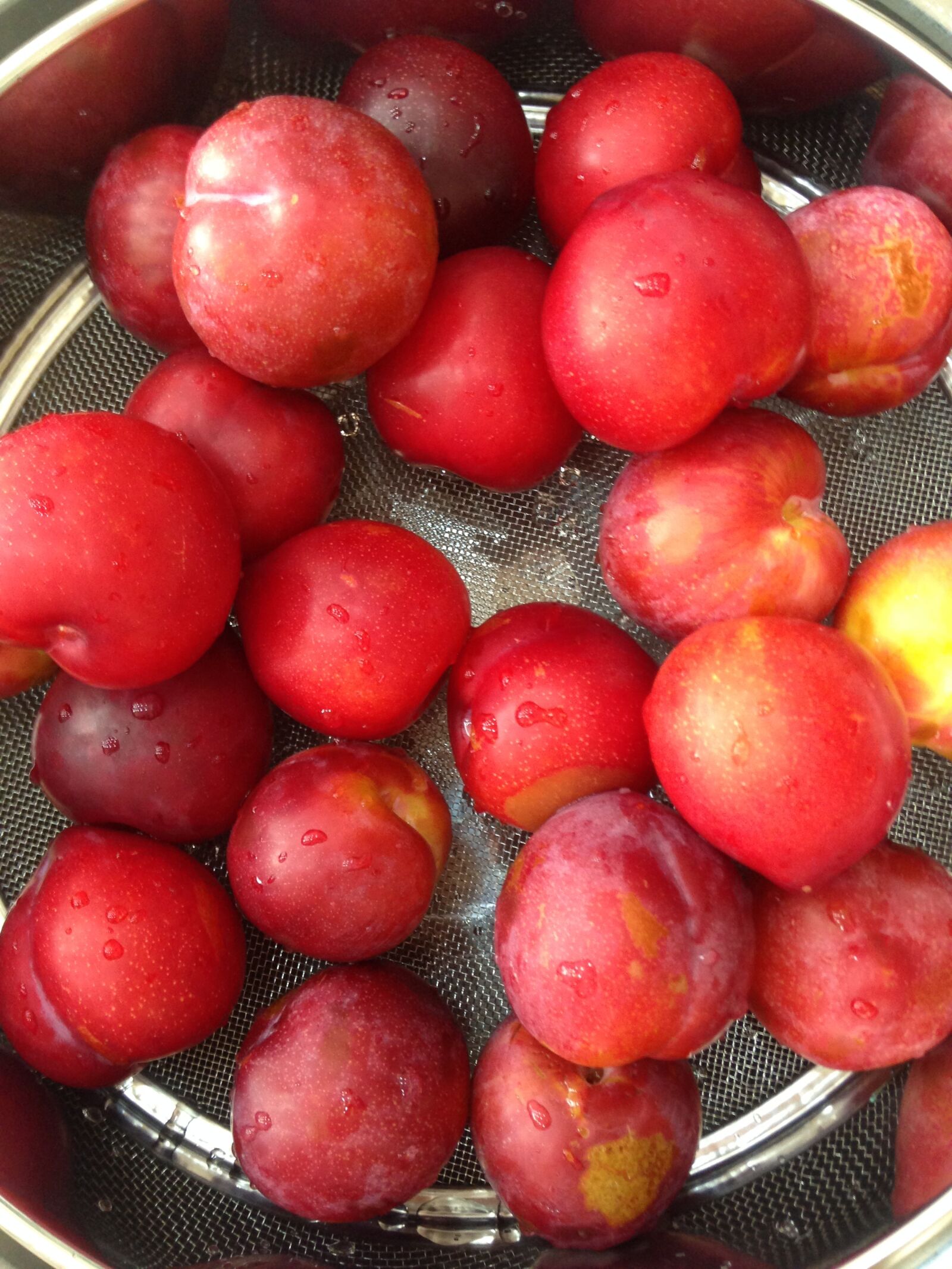 iPhone 5 back camera 4.12mm f/2.4 sample photo. Plum, summer days, sweet photography
