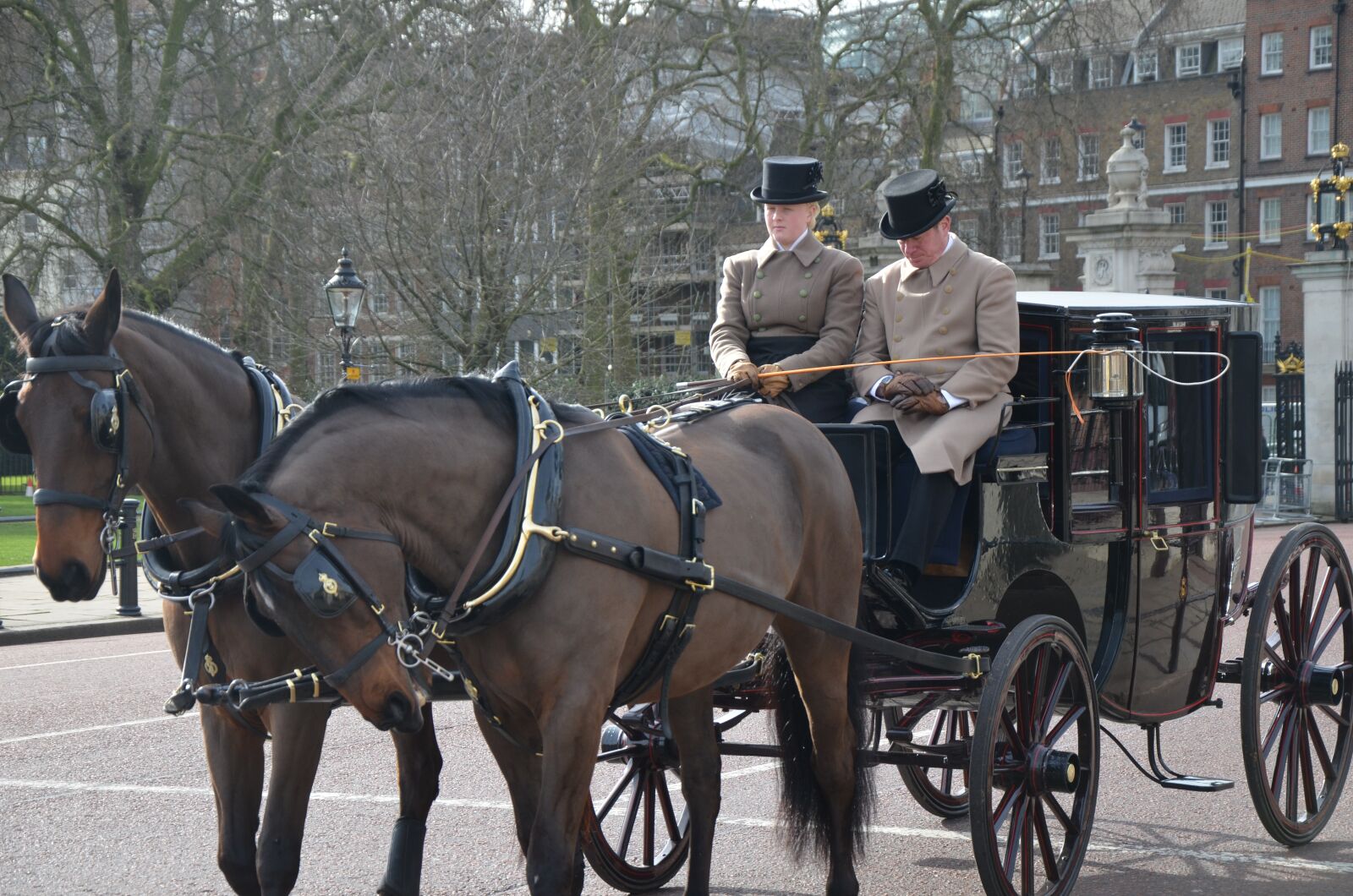 Nikon D5100 sample photo. Horses, carriage, horse photography