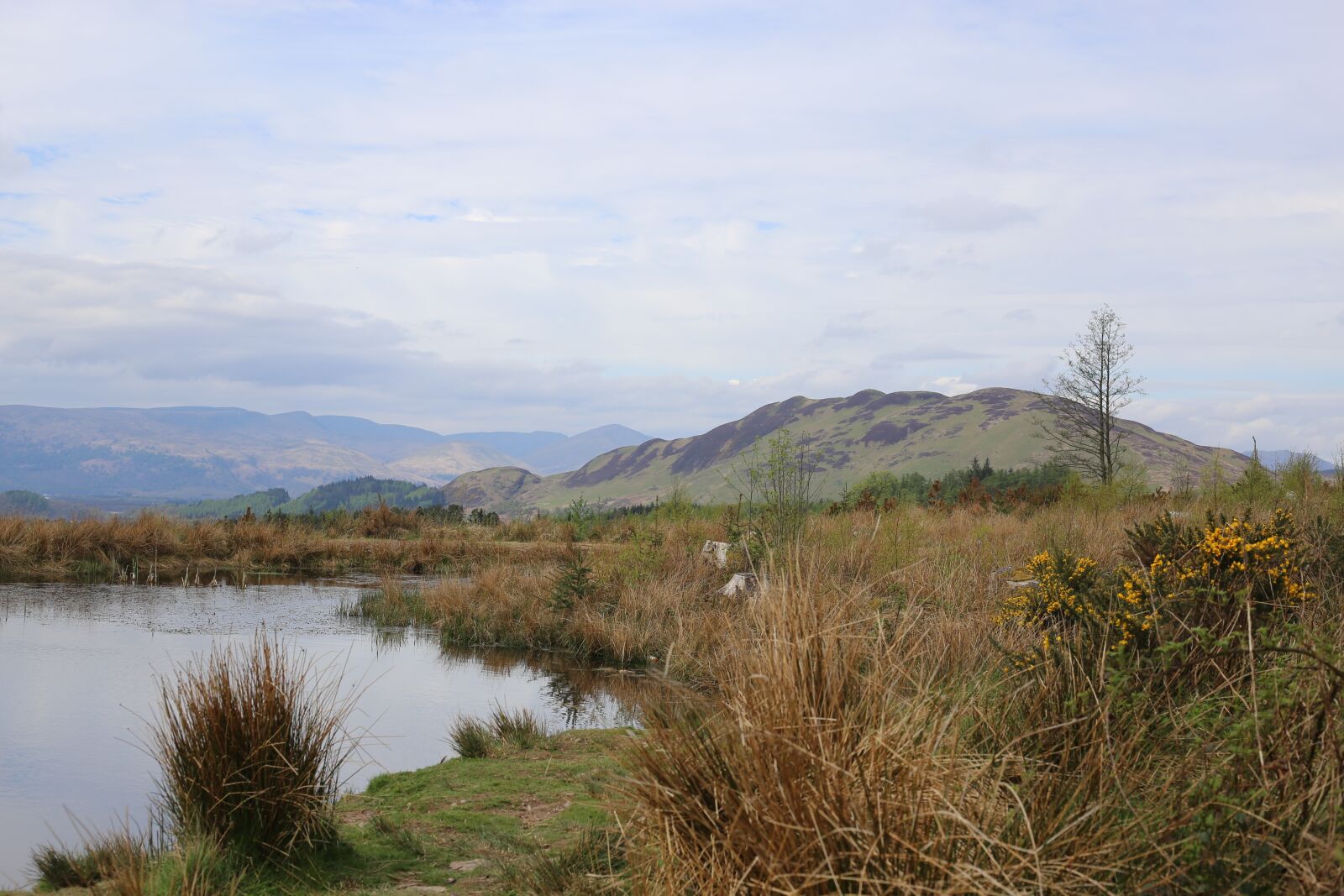 Canon EF 50mm F1.8 STM sample photo. Scenery, highlands, scotland photography