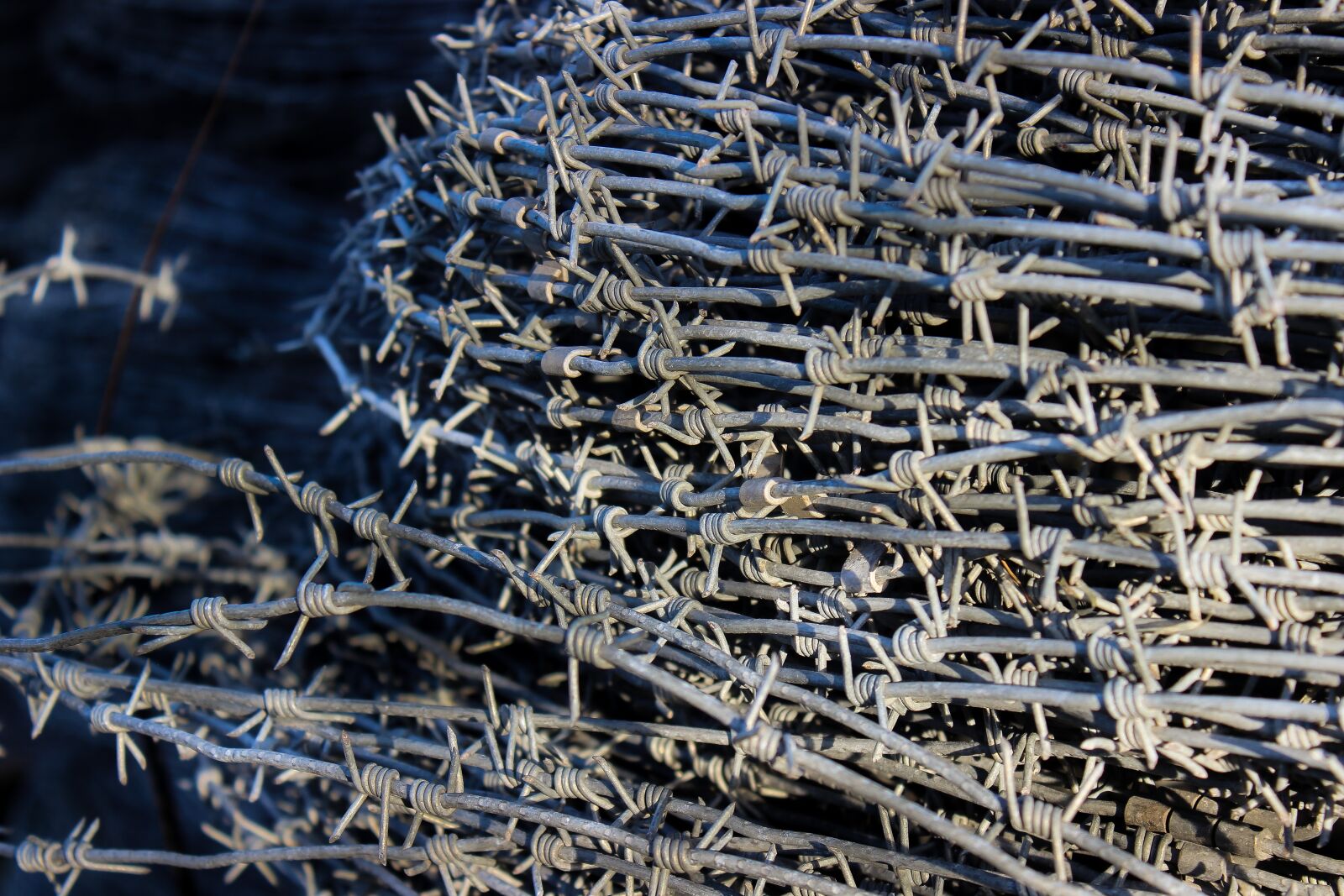 Canon EOS 600D (Rebel EOS T3i / EOS Kiss X5) sample photo. Barbed wire, pointed, careful photography