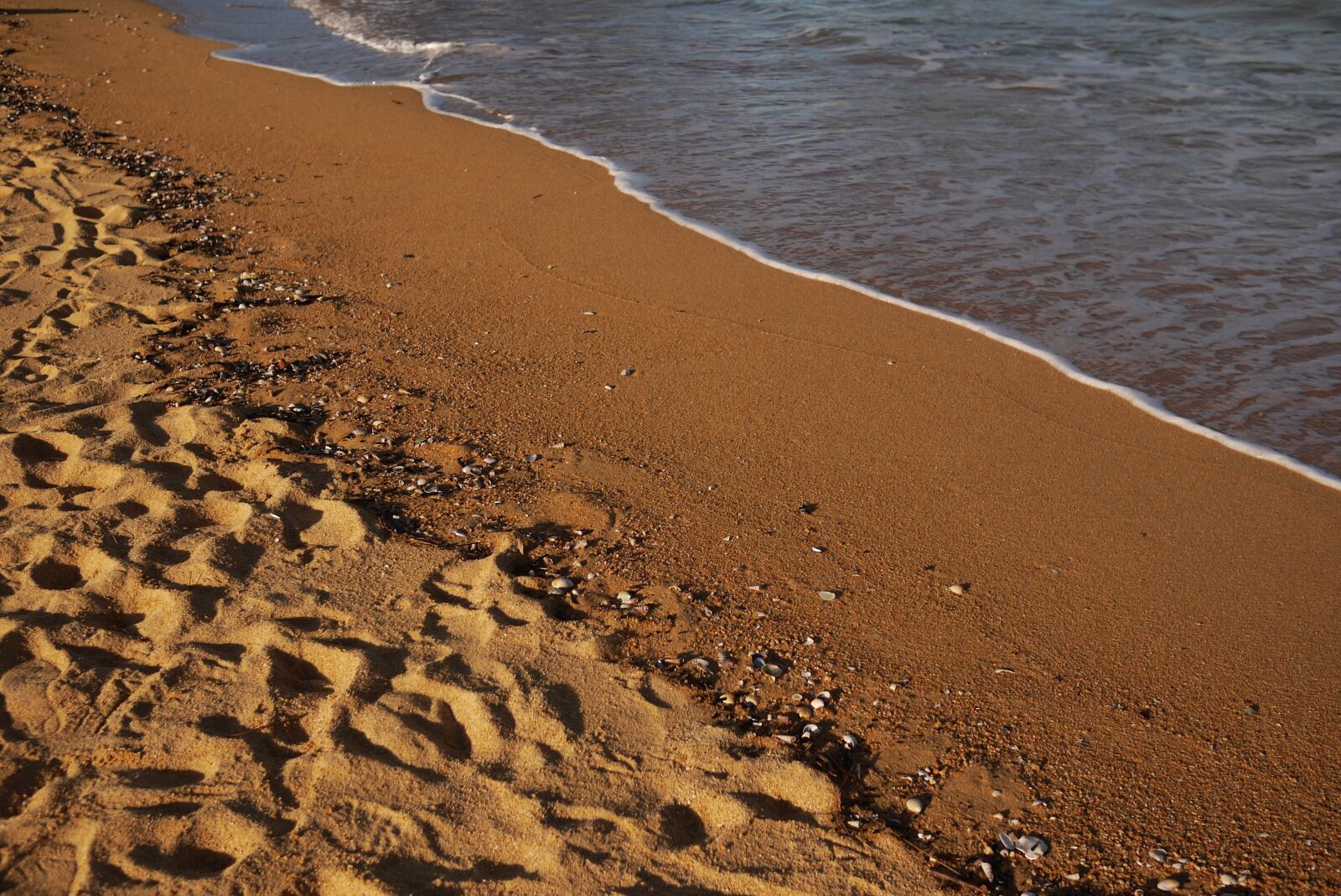 Panasonic Lumix DMC-GF1 sample photo. Beach, sand, sea photography